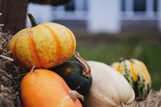A close-up of colorful pumpkins in different shapes and sizes on a porch.