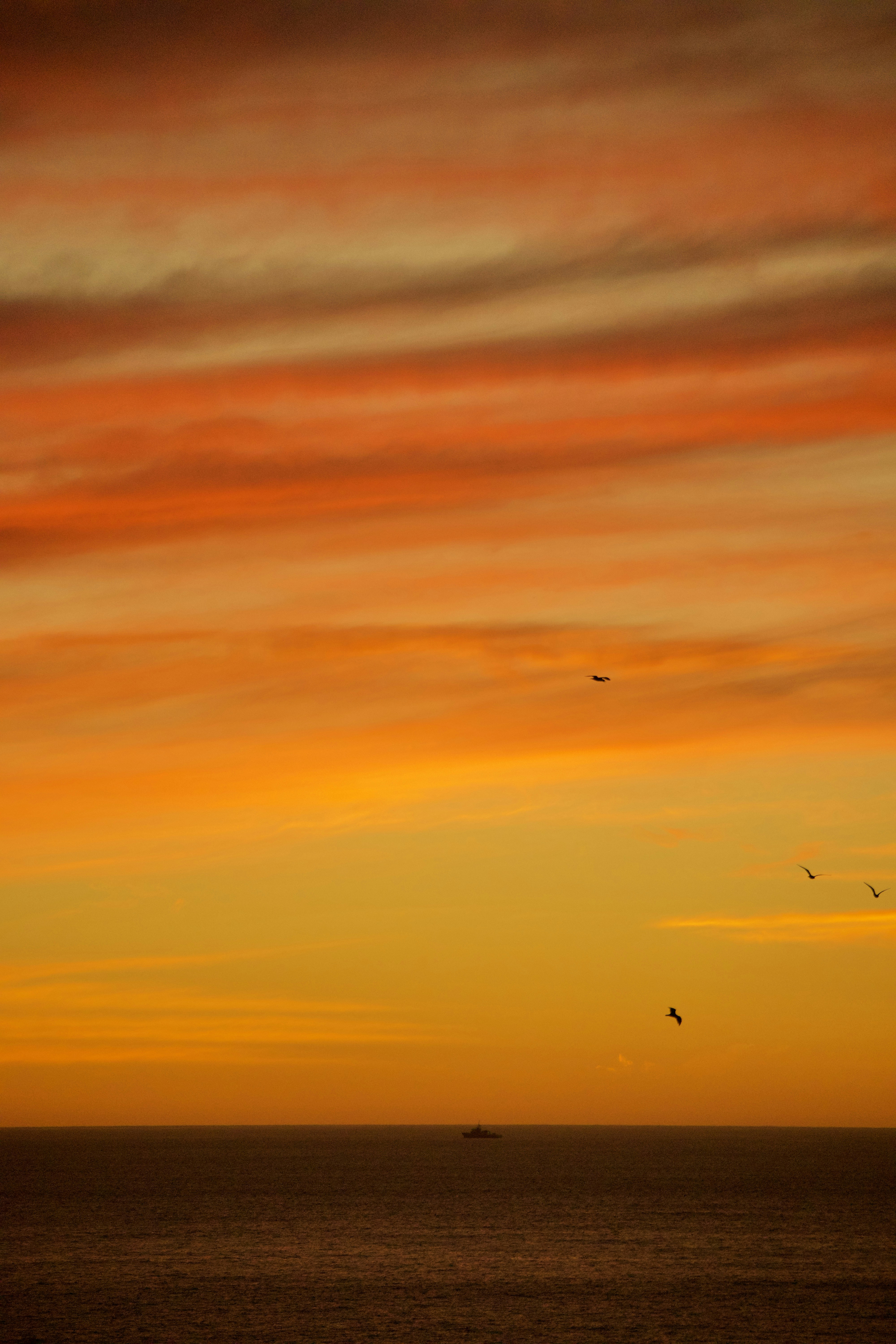 Photo by nomadicjulien