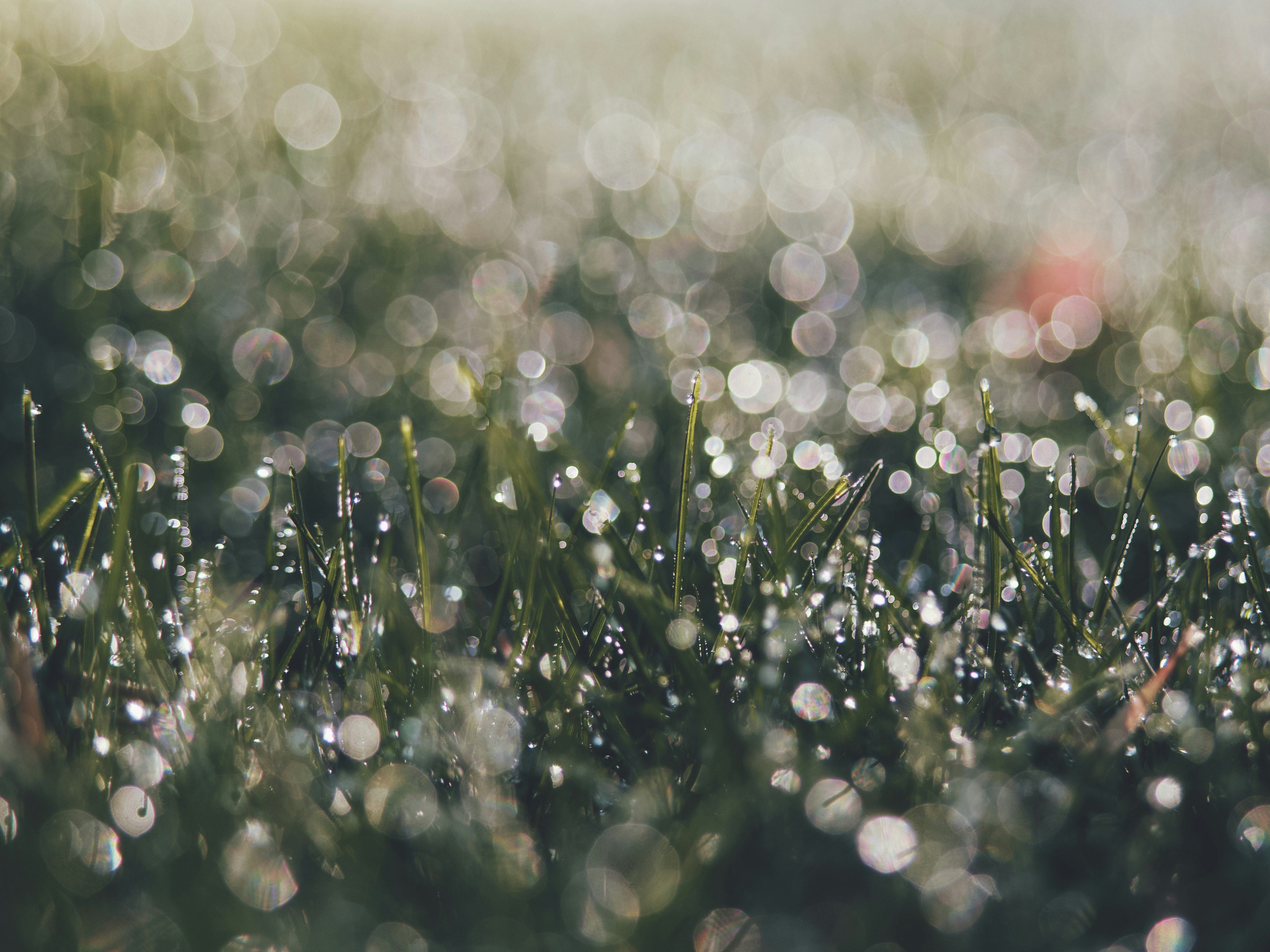 Photo by aaronburden