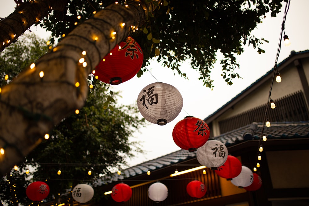 Lanternes chinoises rouges et blanches