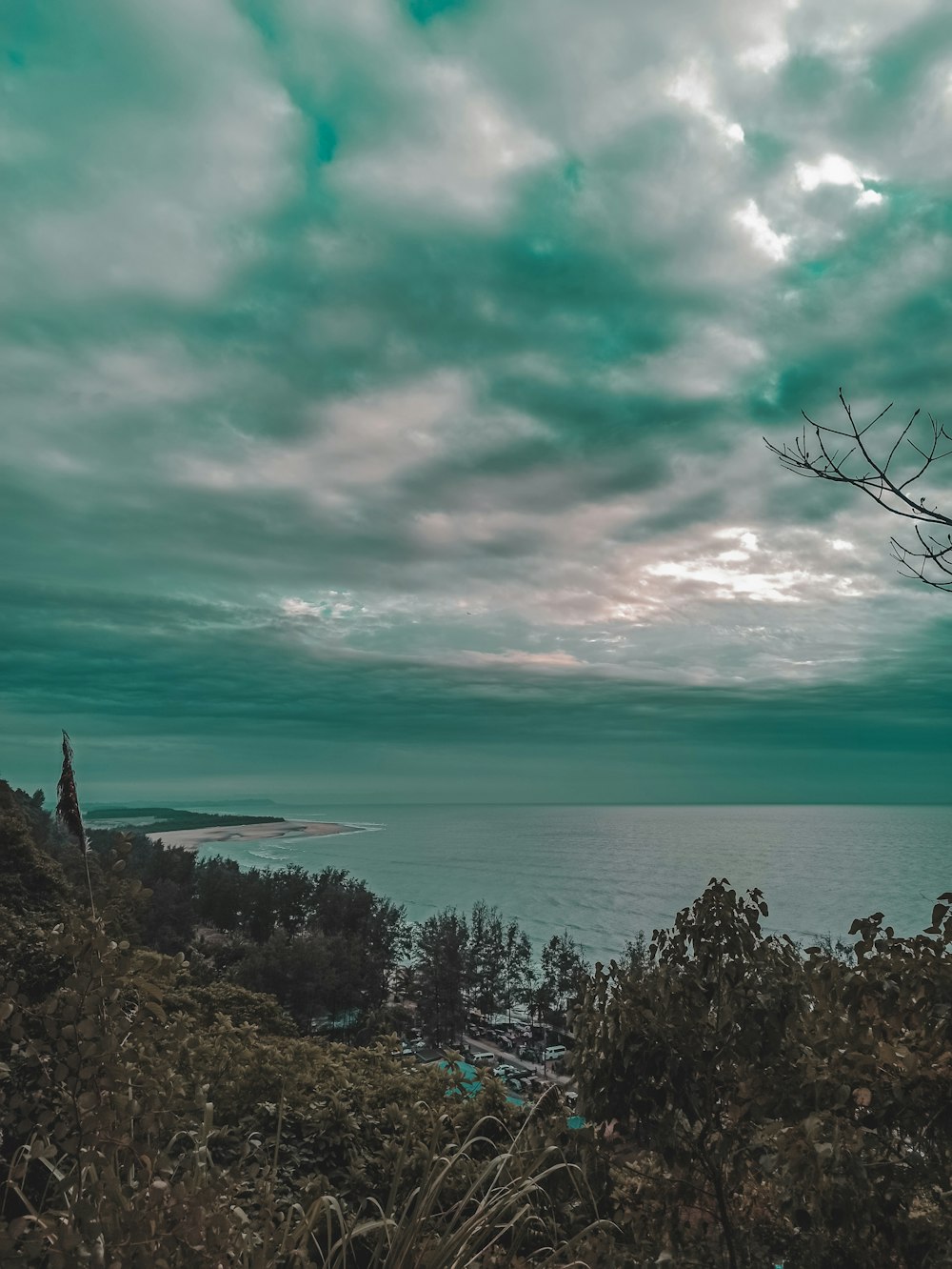 green trees near body of water under cloudy sky during daytime