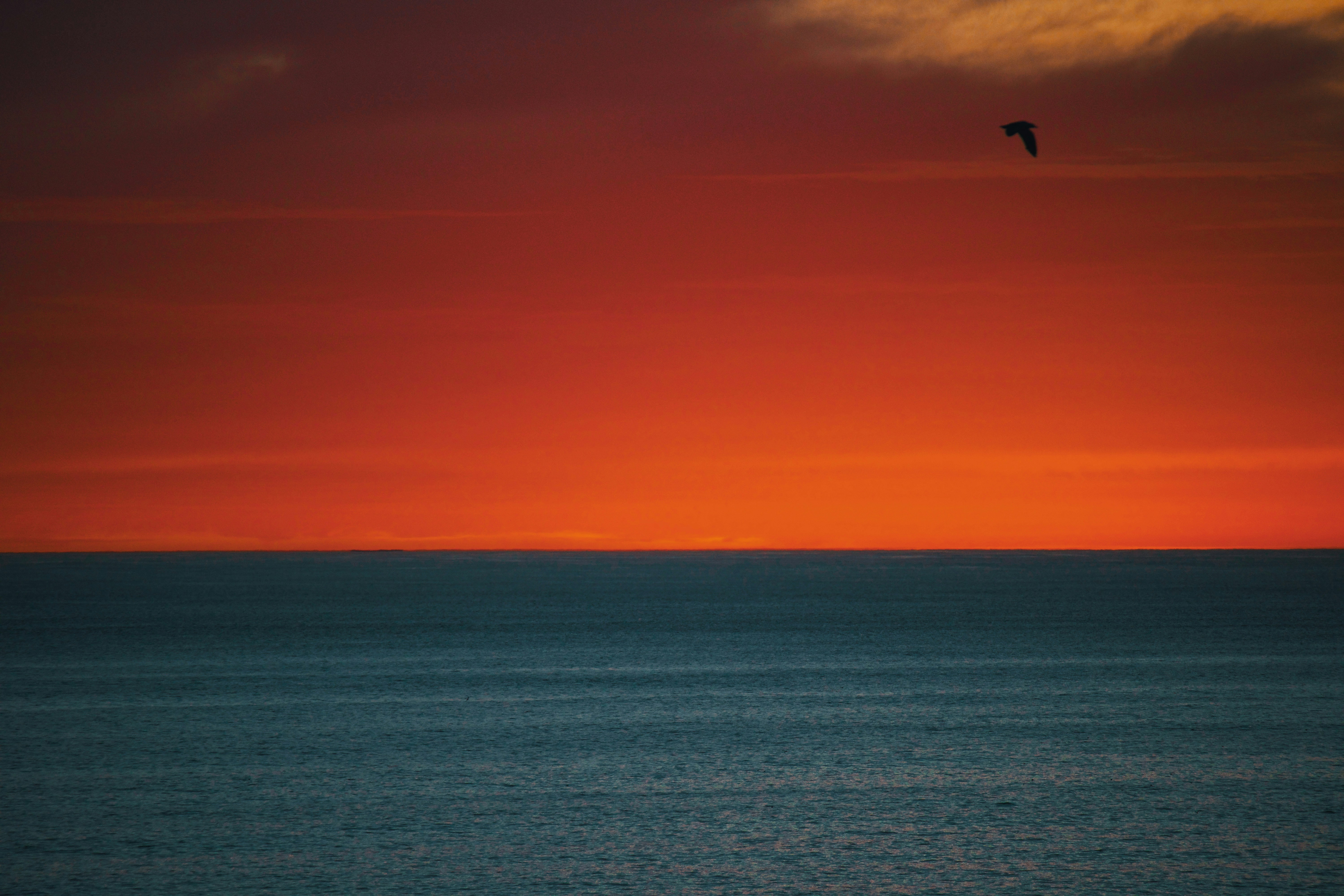 Photo by nomadicjulien