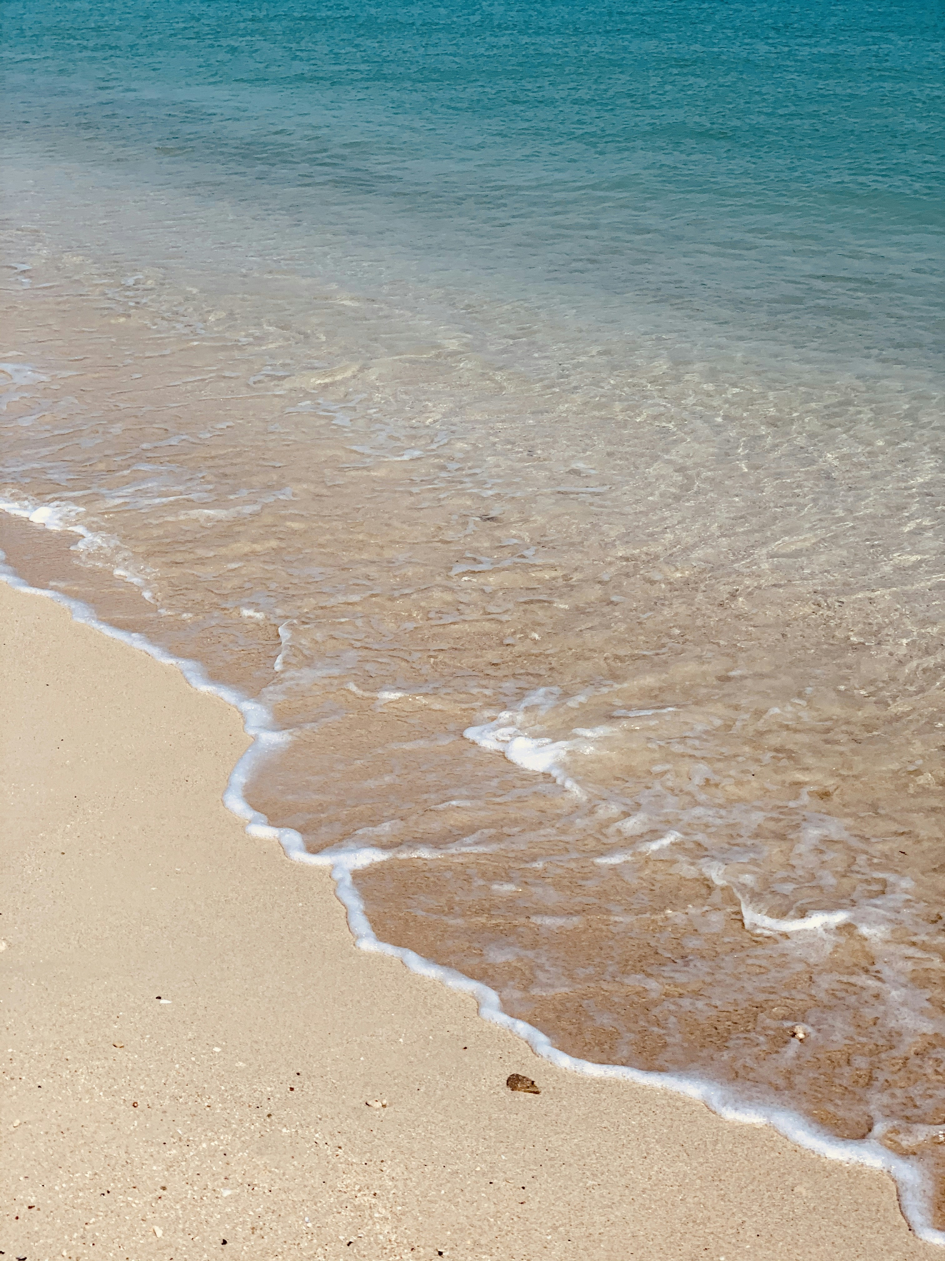 Photo by rojansalehi