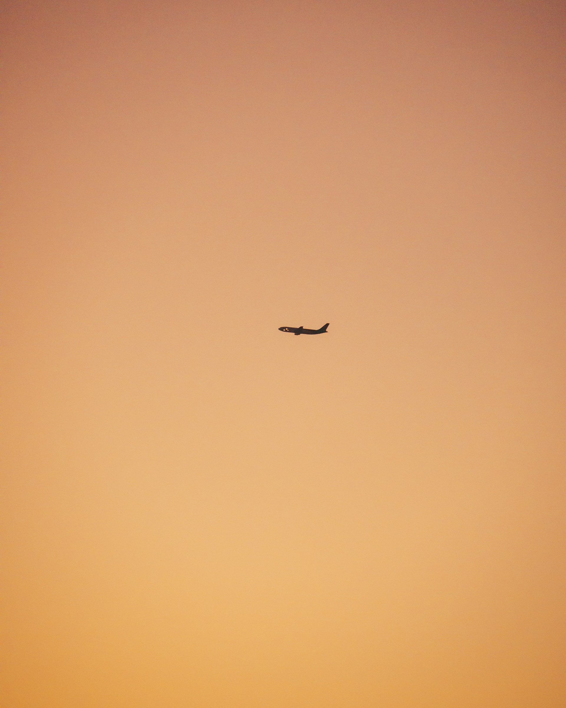 black bird flying on sky