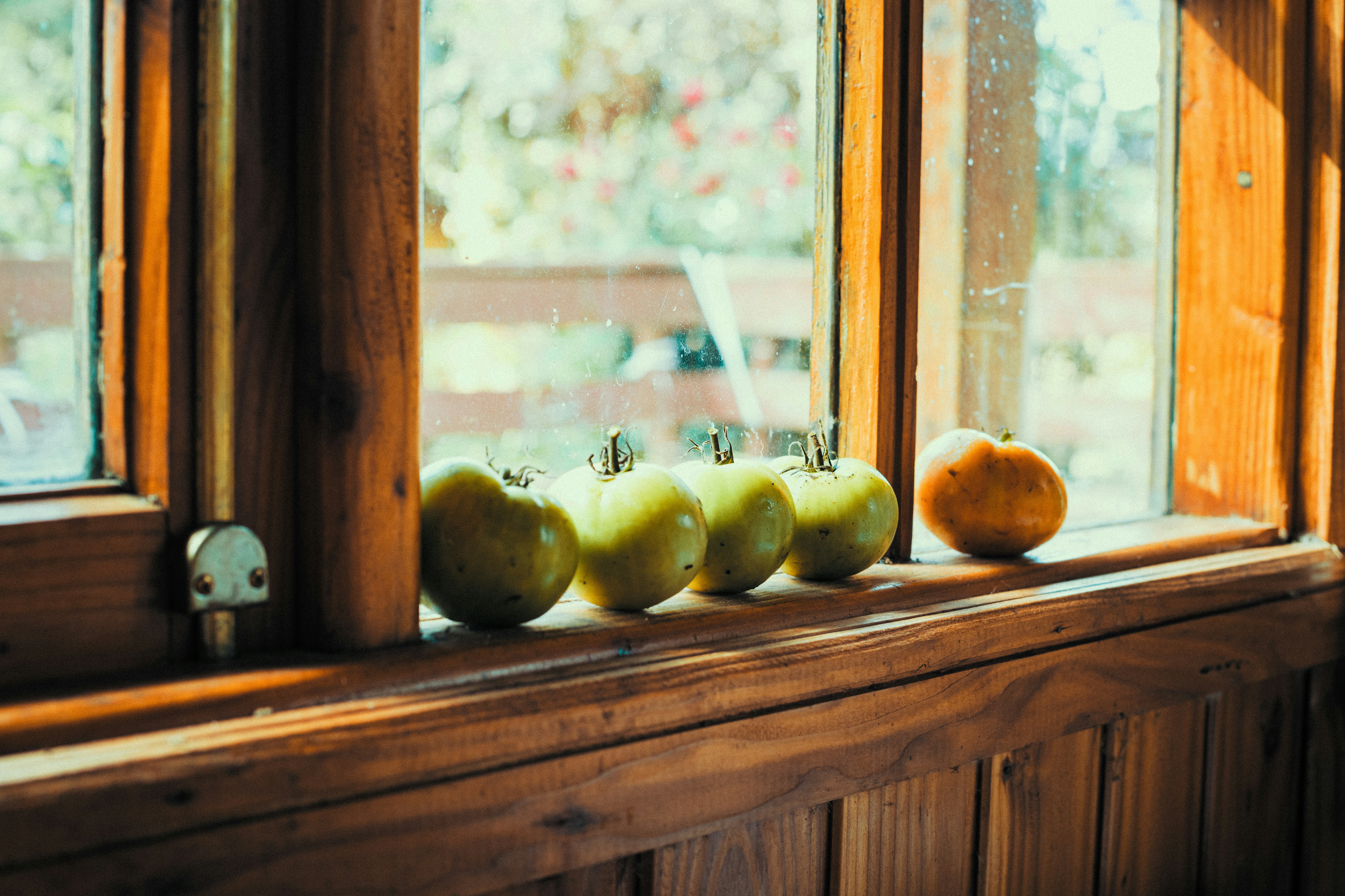 A importância da janela de alimentação pós-treino