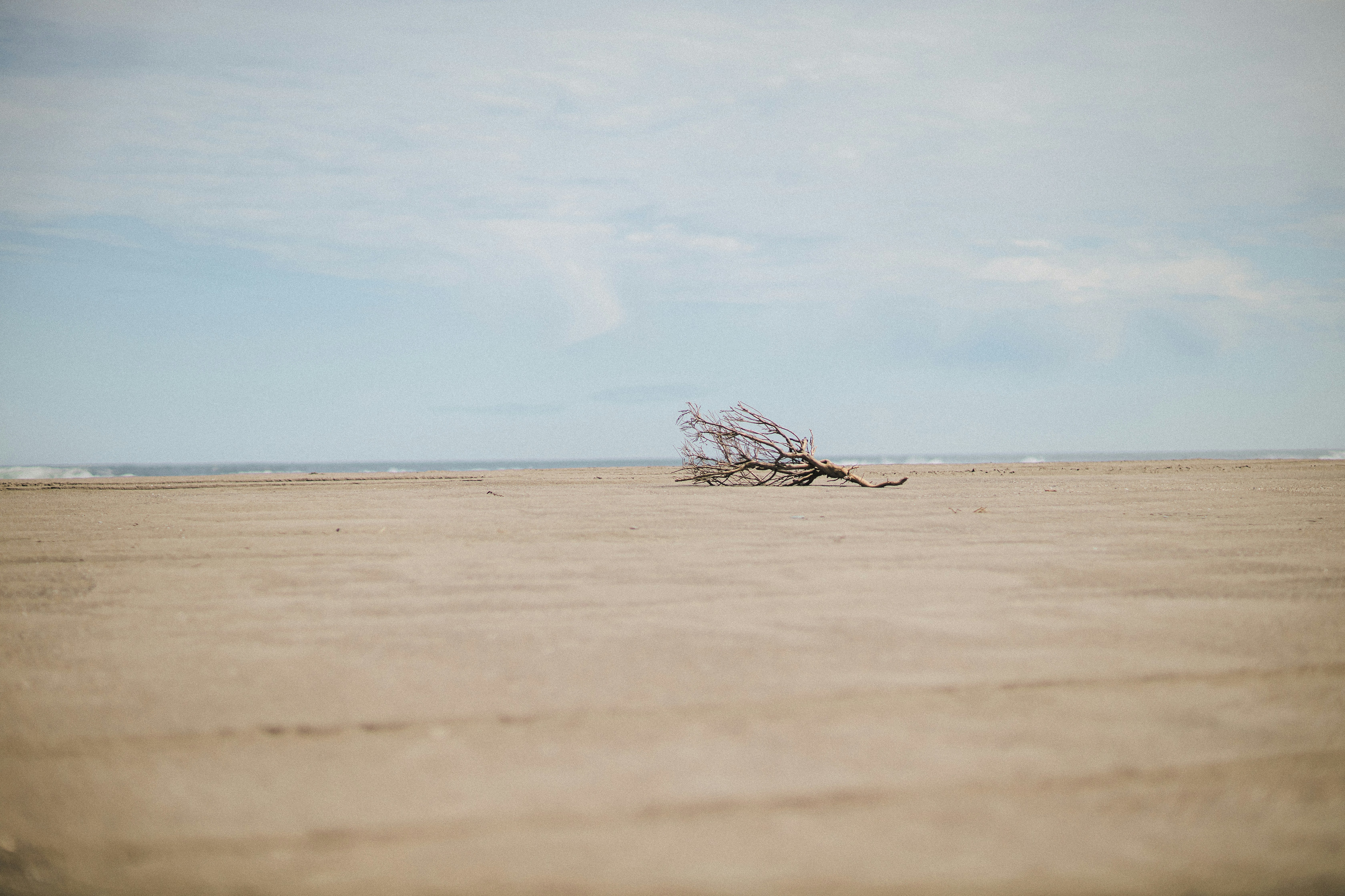 Photo by fhund