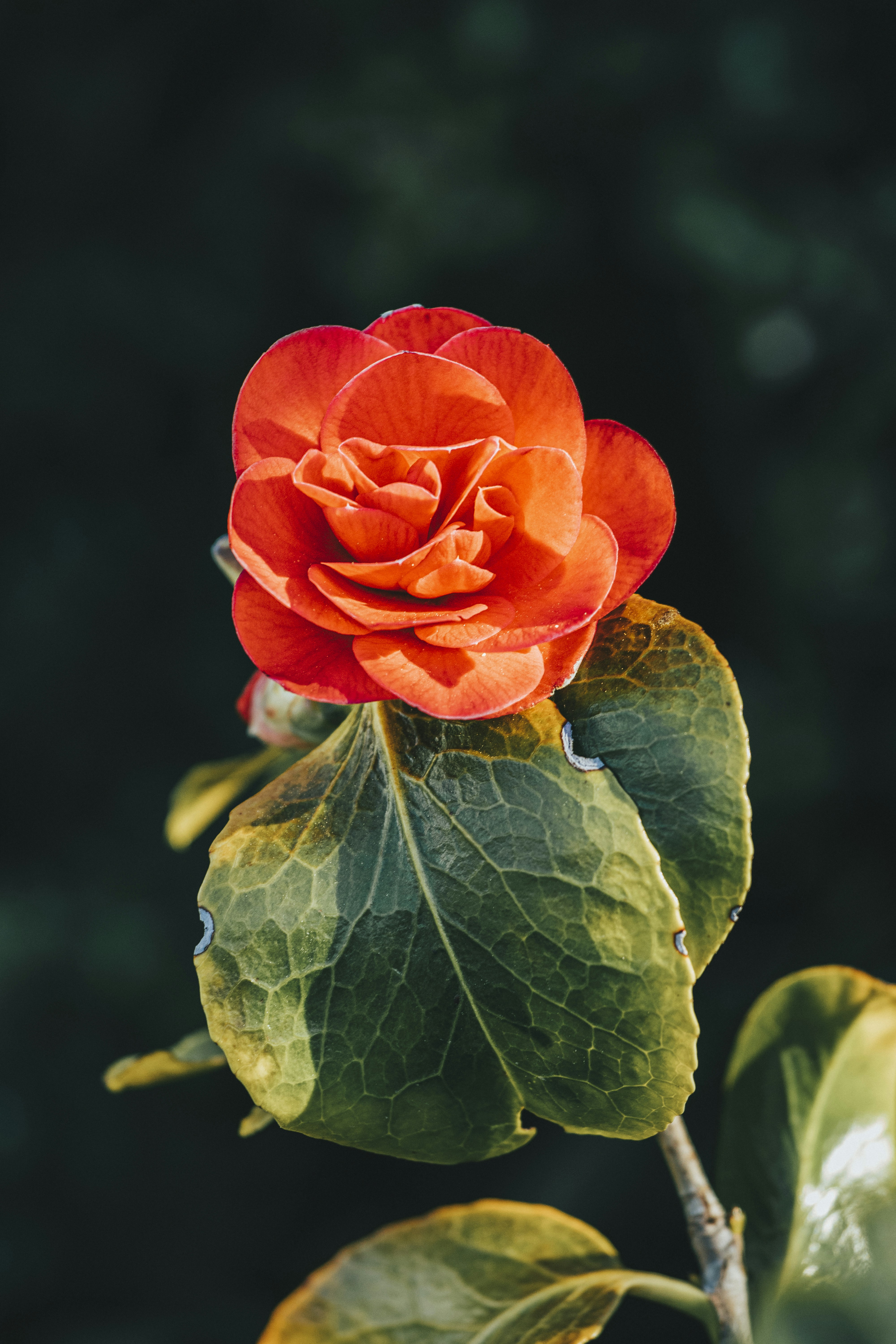 Photo by hiccupfromberk