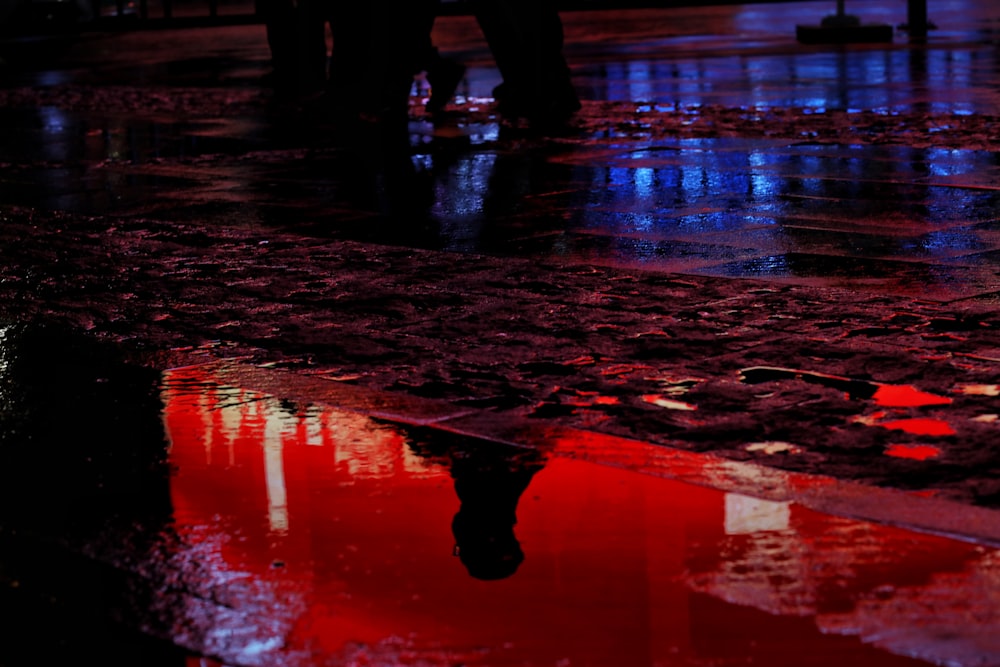silhouette of people walking on wet road during night time