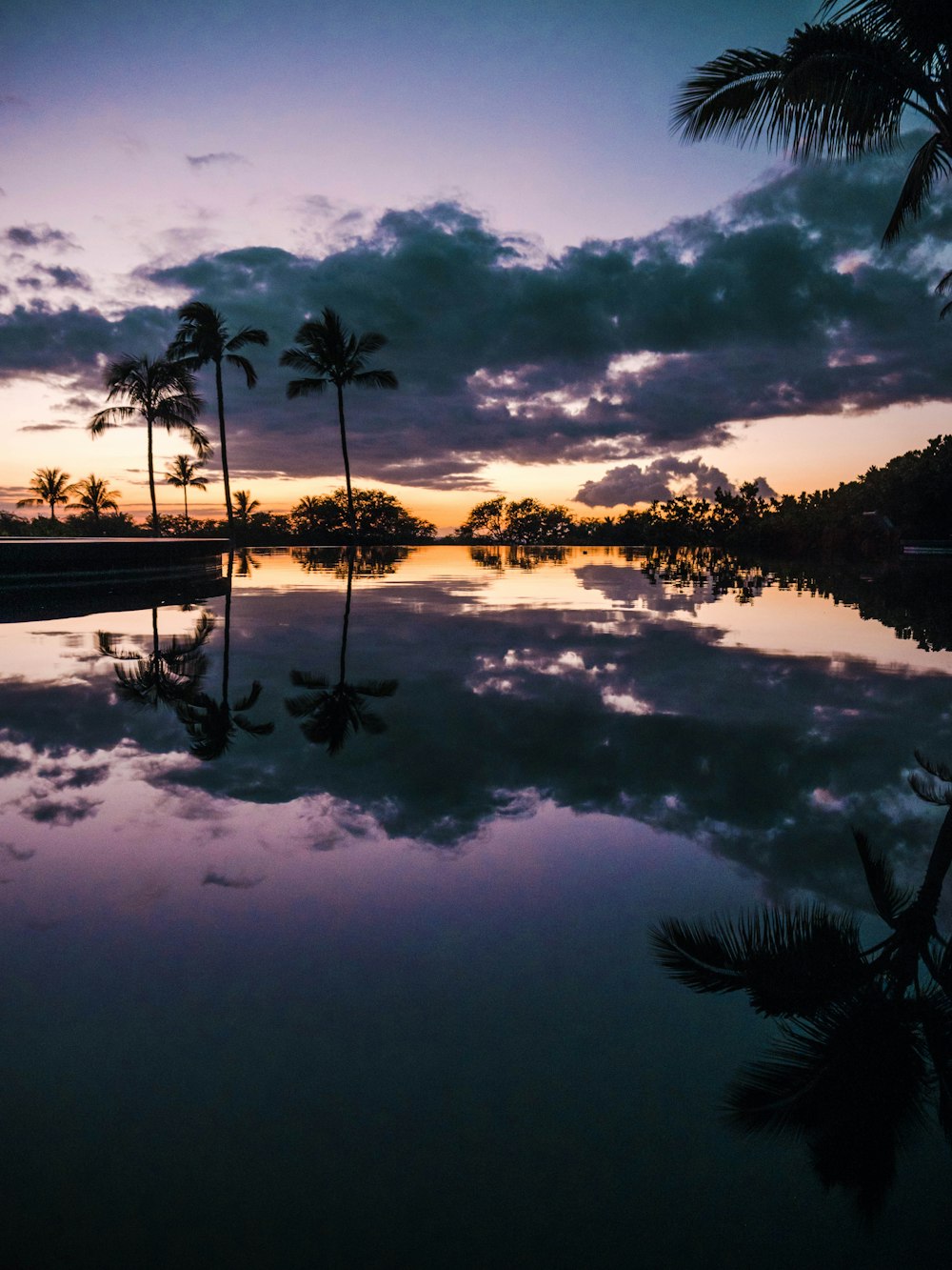 body of water near trees during sunset