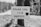 A black and white photo of a wooden sign attached to a pole with the message 'THANK YOU ICU NURSES' alongside a heart symbol. The sign is positioned outdoors with a blurred background of trees and grass.