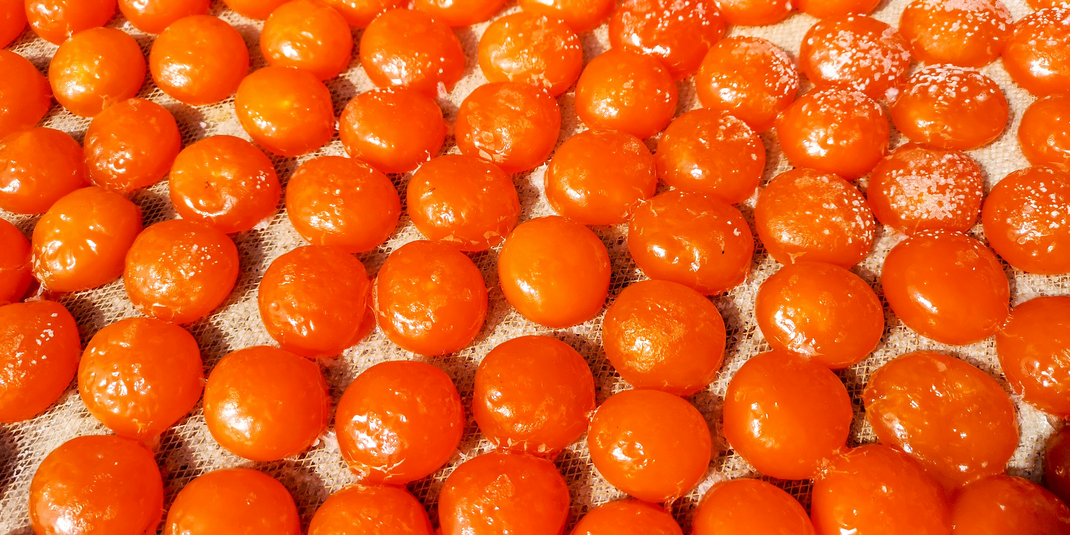 orange fruits in close up photography