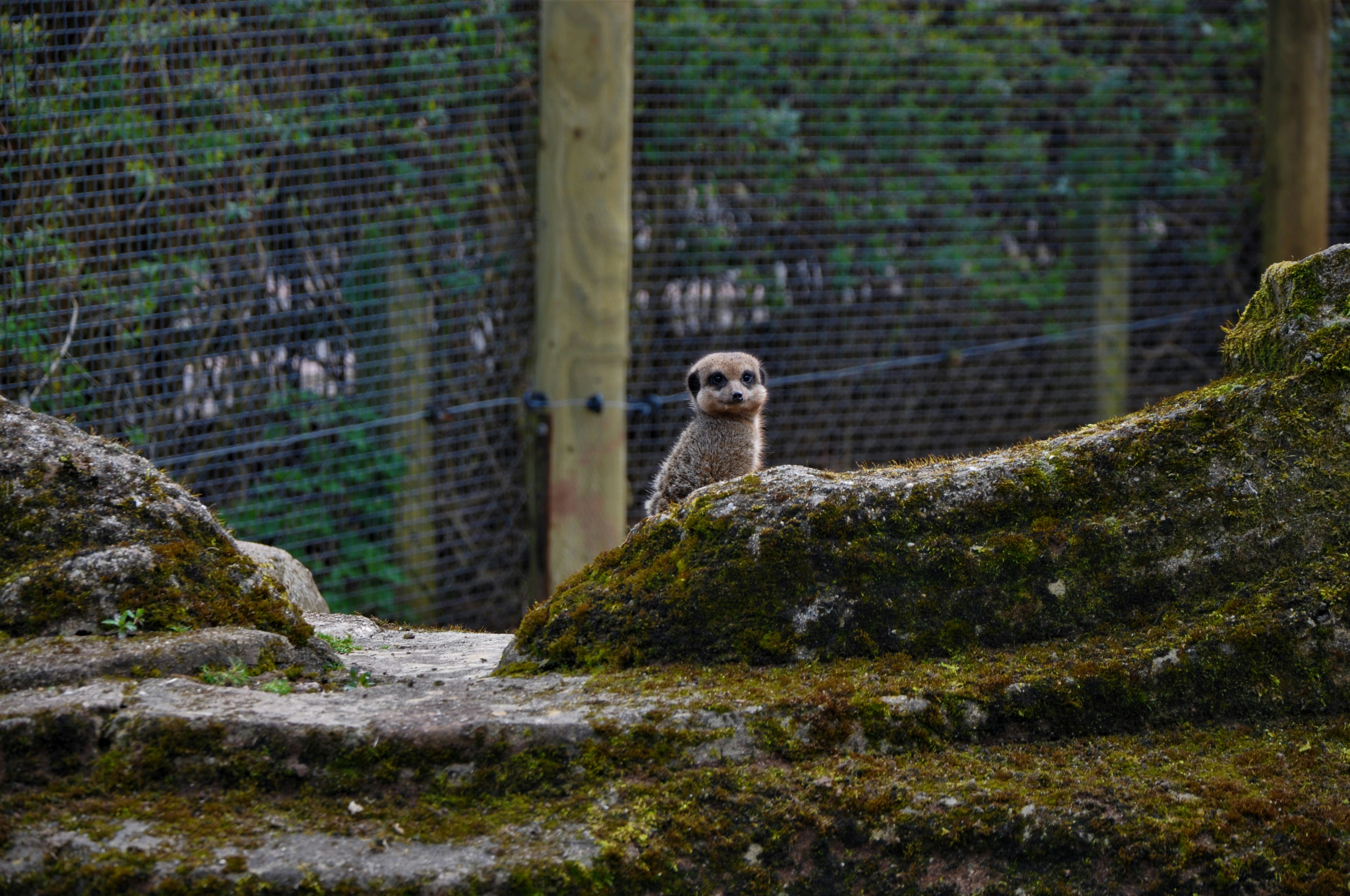 Zoos in Kerala