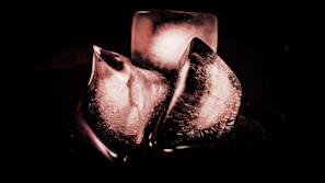 Artistic shot of gourmet ice cubes melting slowly in a stylish glass.