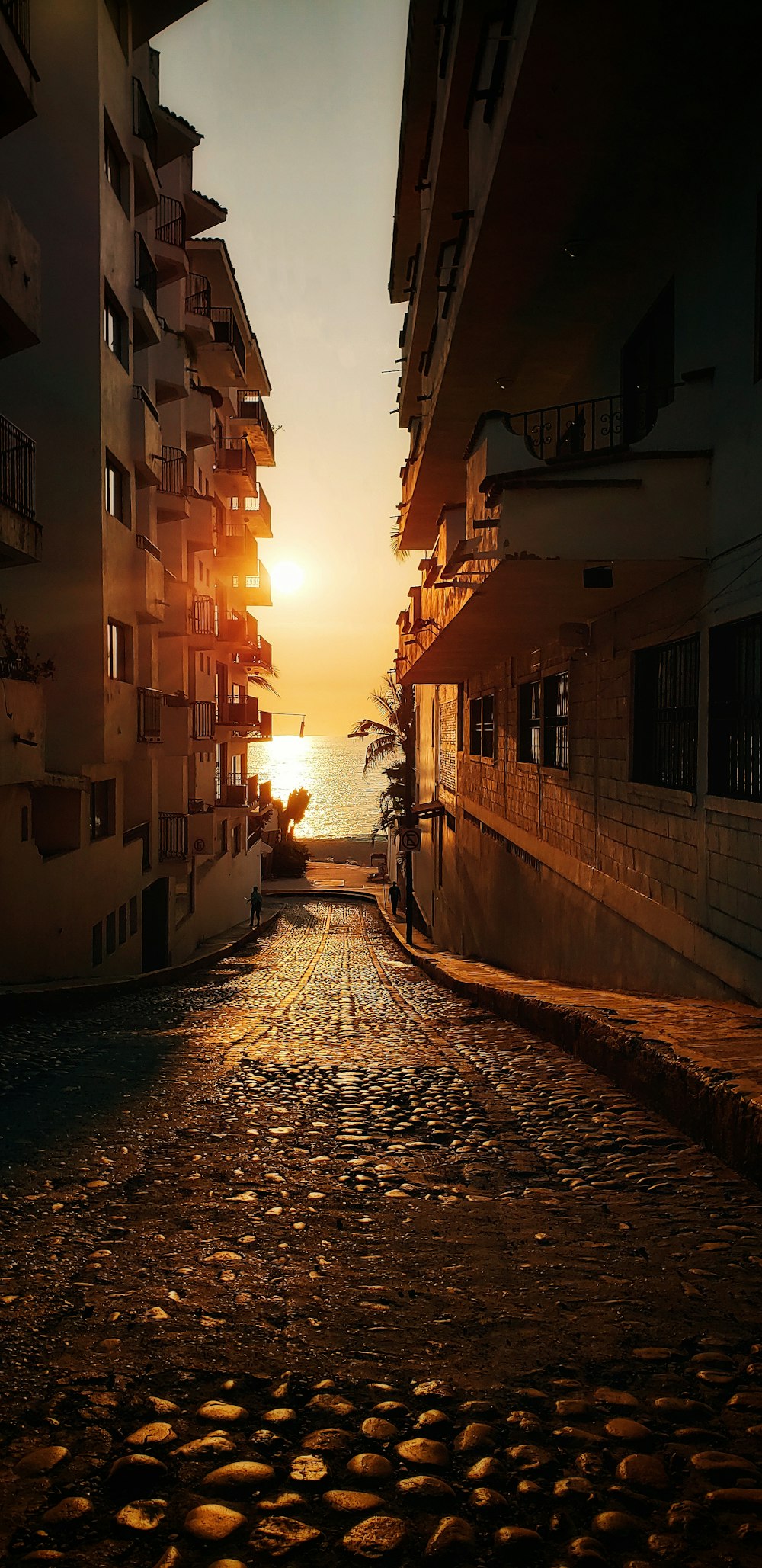 brown and white concrete building during sunset