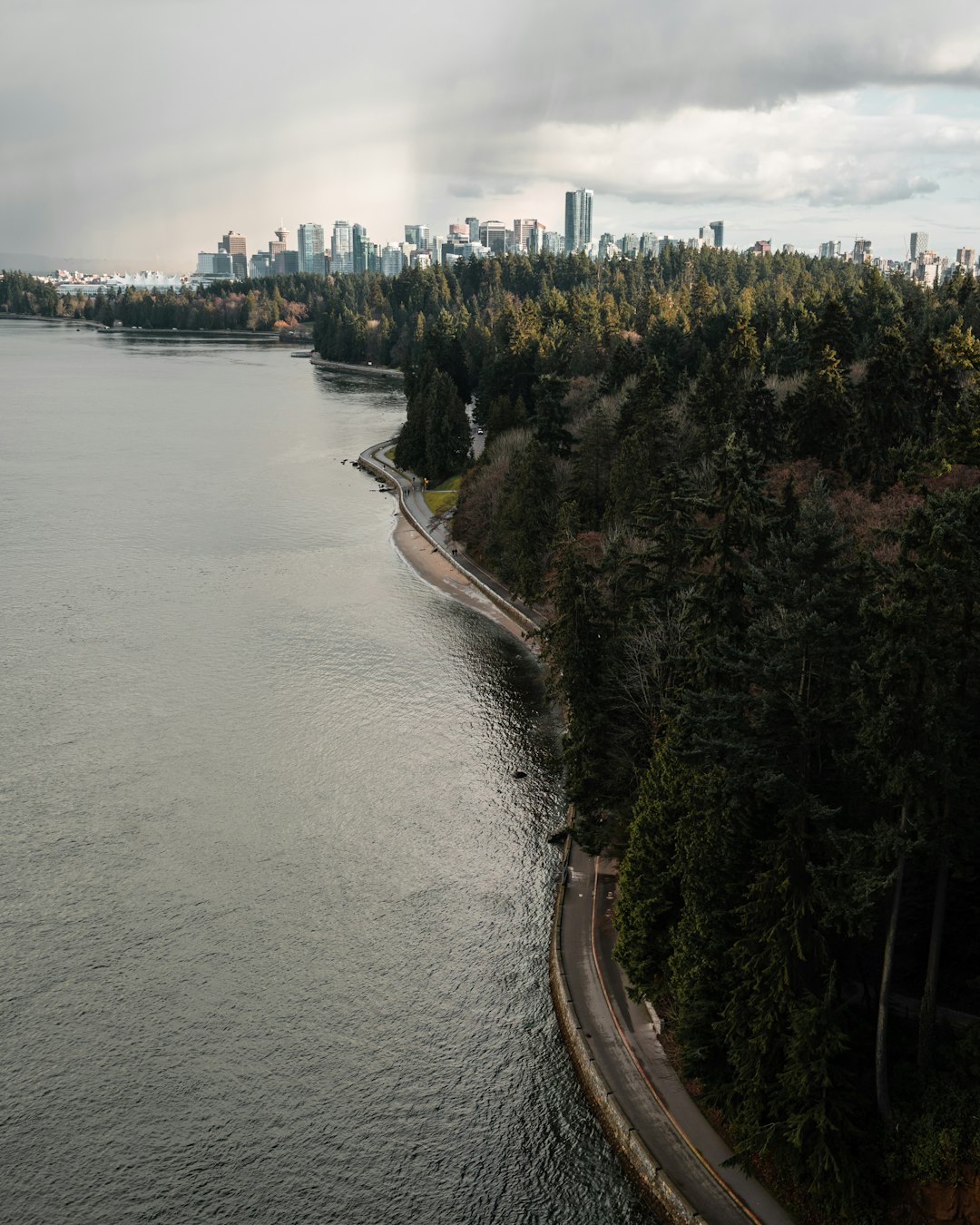 green trees beside body of water during daytime