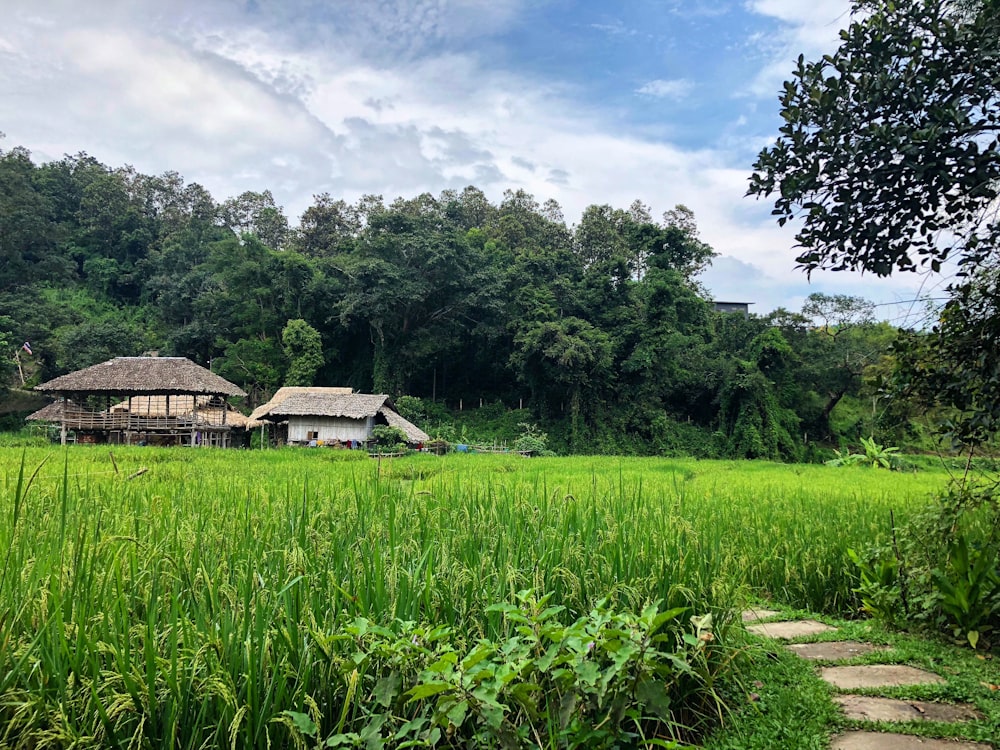 brown wooden house near green trees under white clouds during daytime