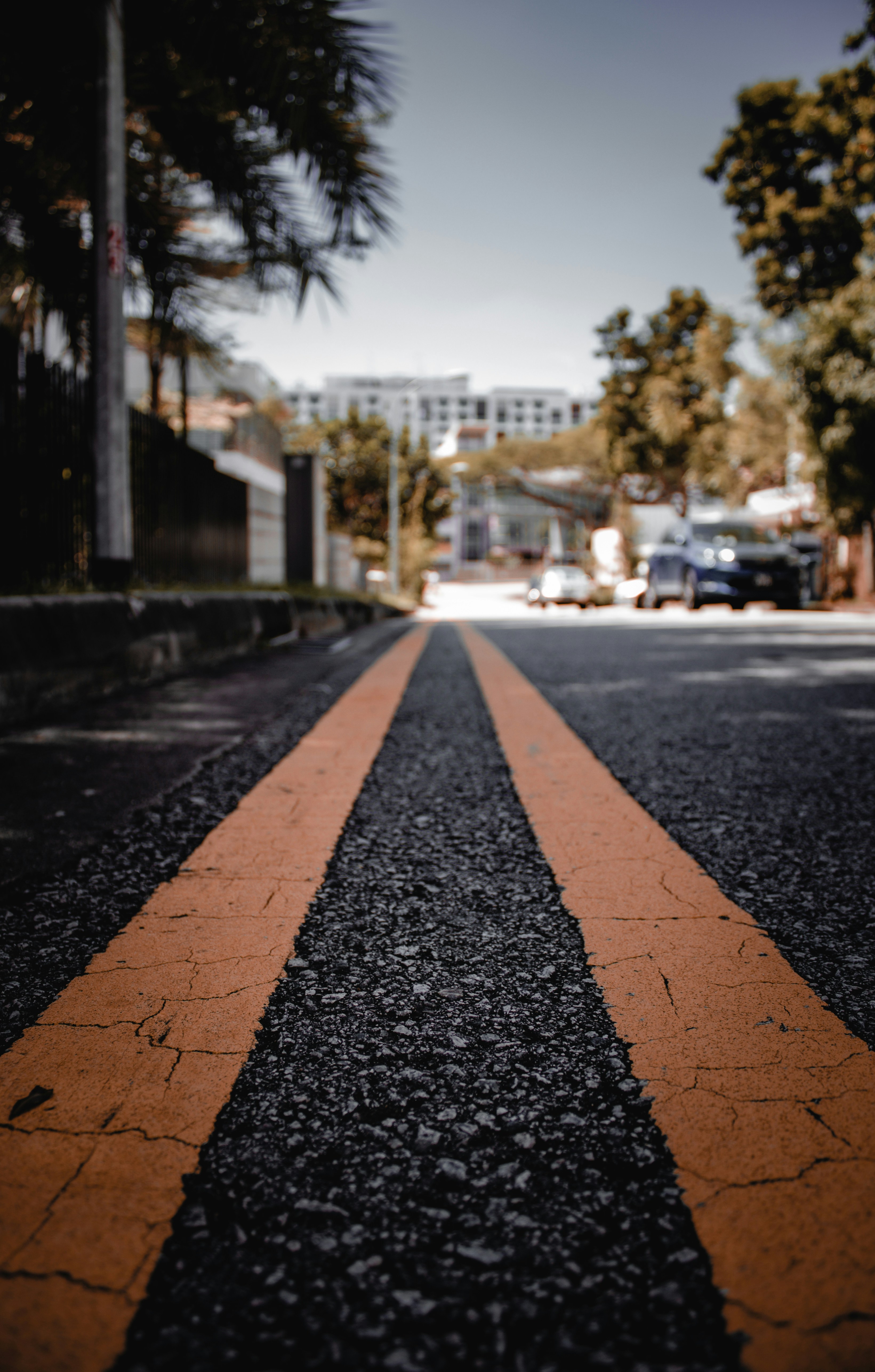 Photo by trulysoutheastasia