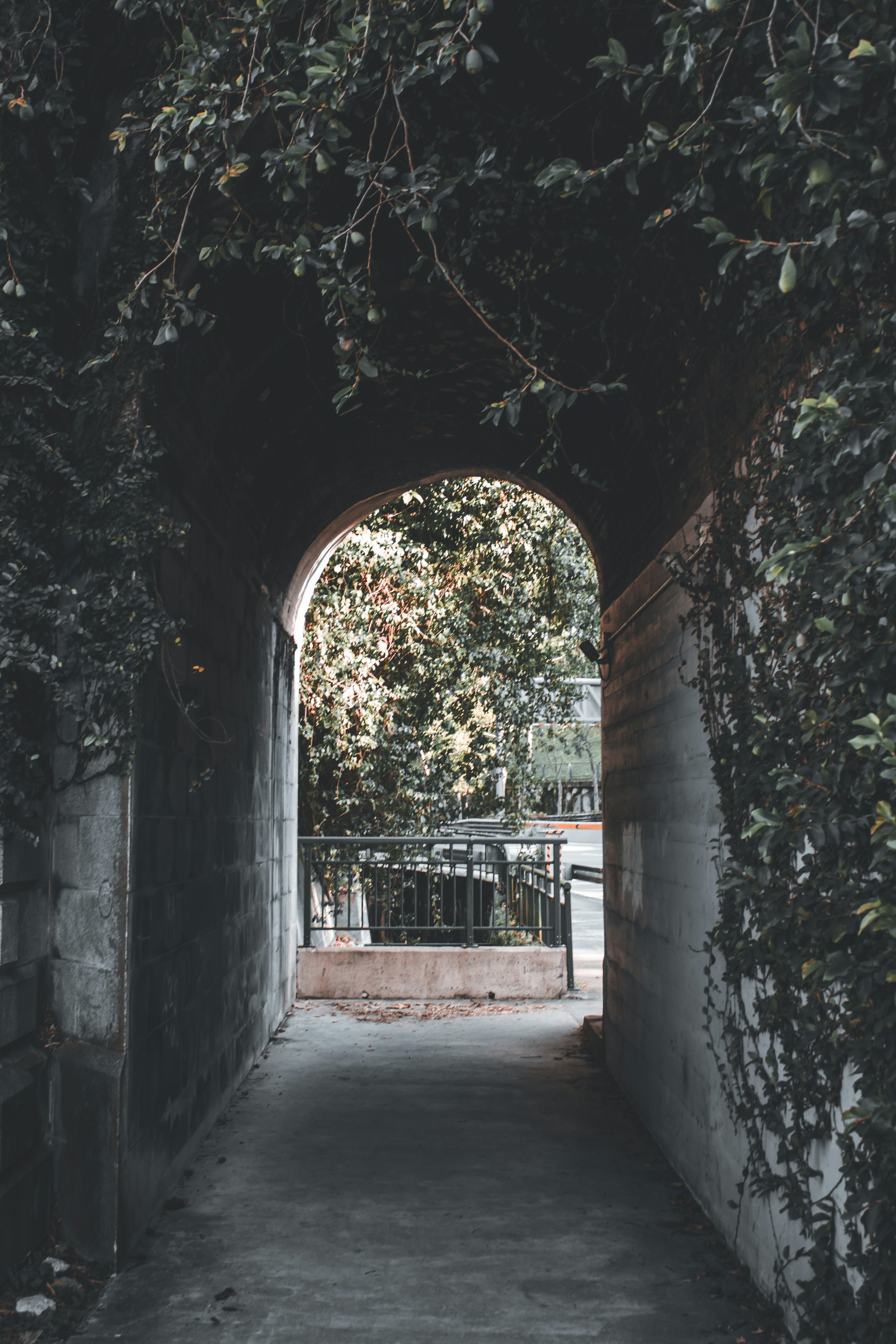 Photo by trulysoutheastasia