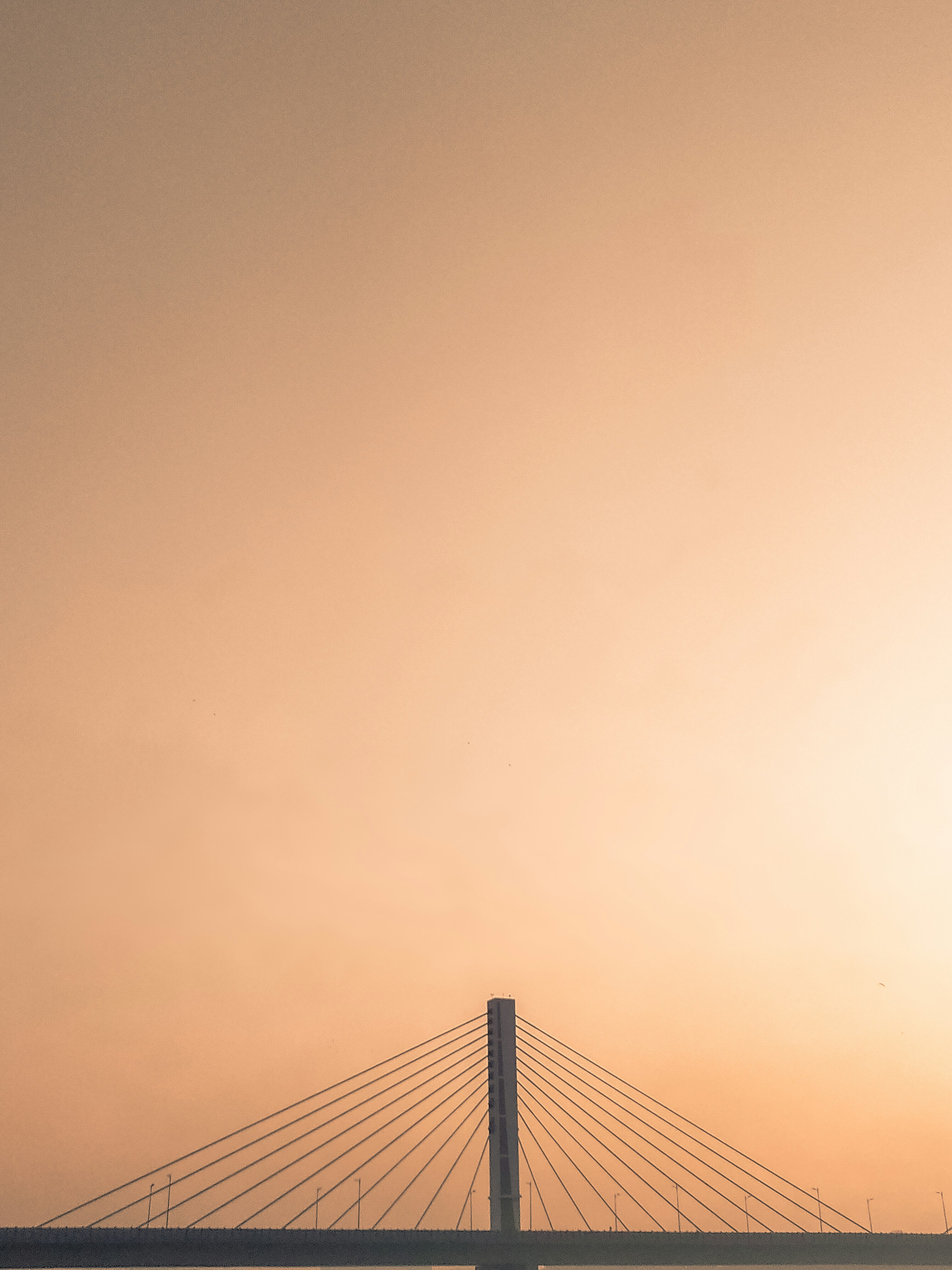 Photo by mitulgajera