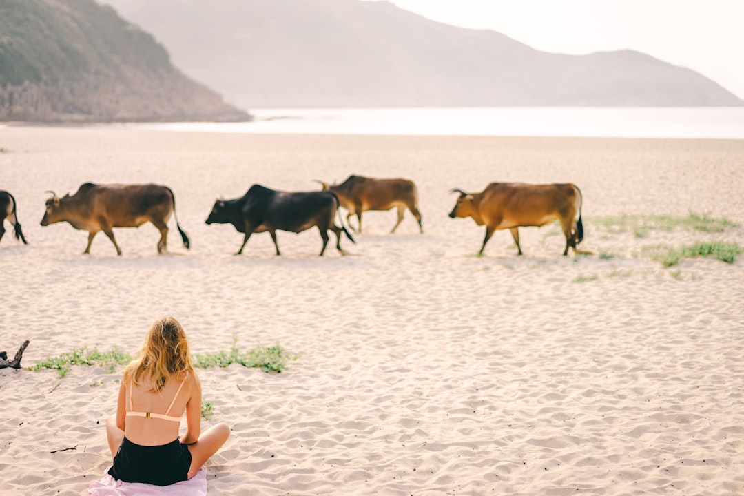 Travel Tips and Stories of Sai Kung East Country Park in Hong Kong