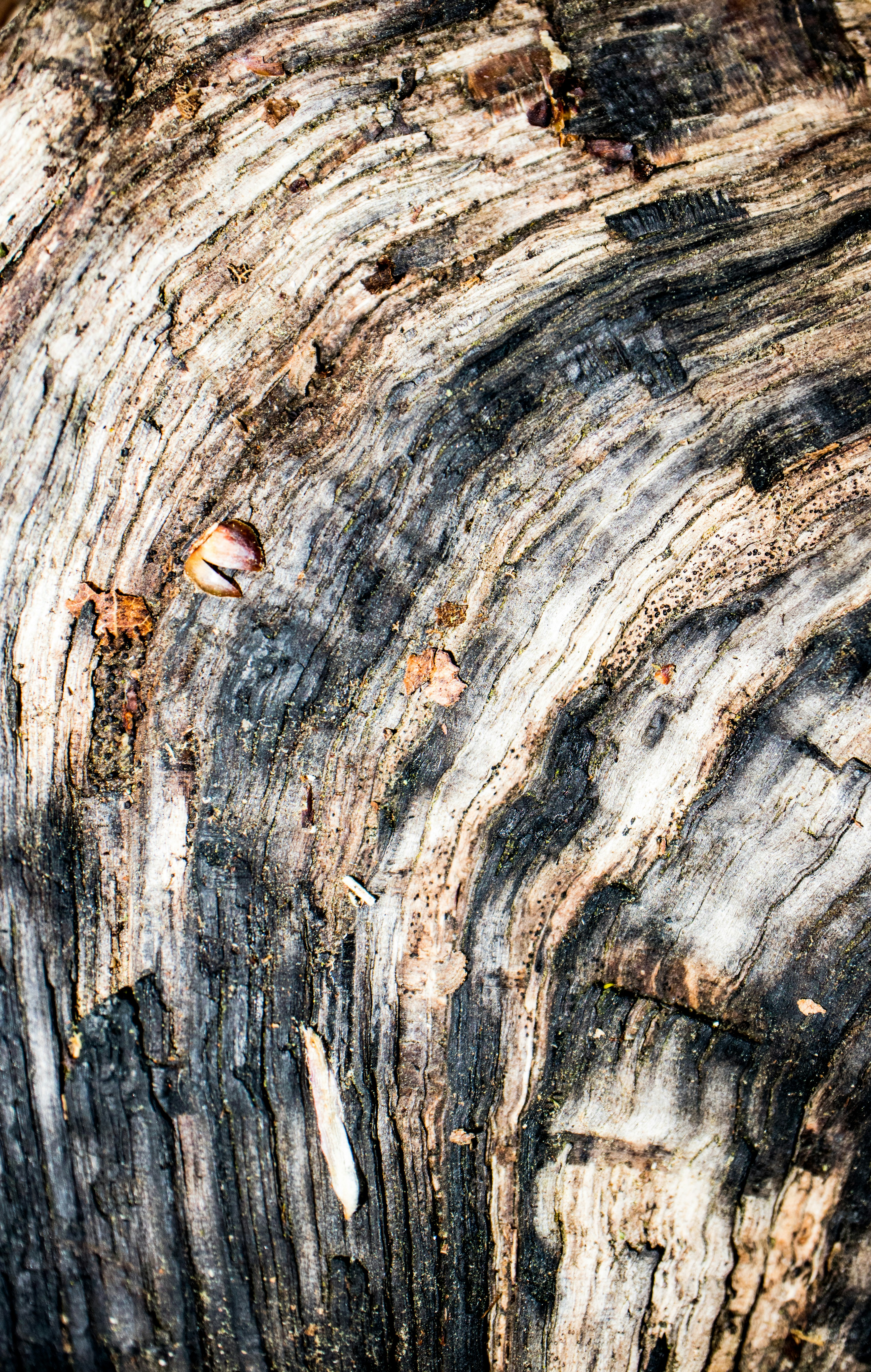 Photo by grievek1610begur