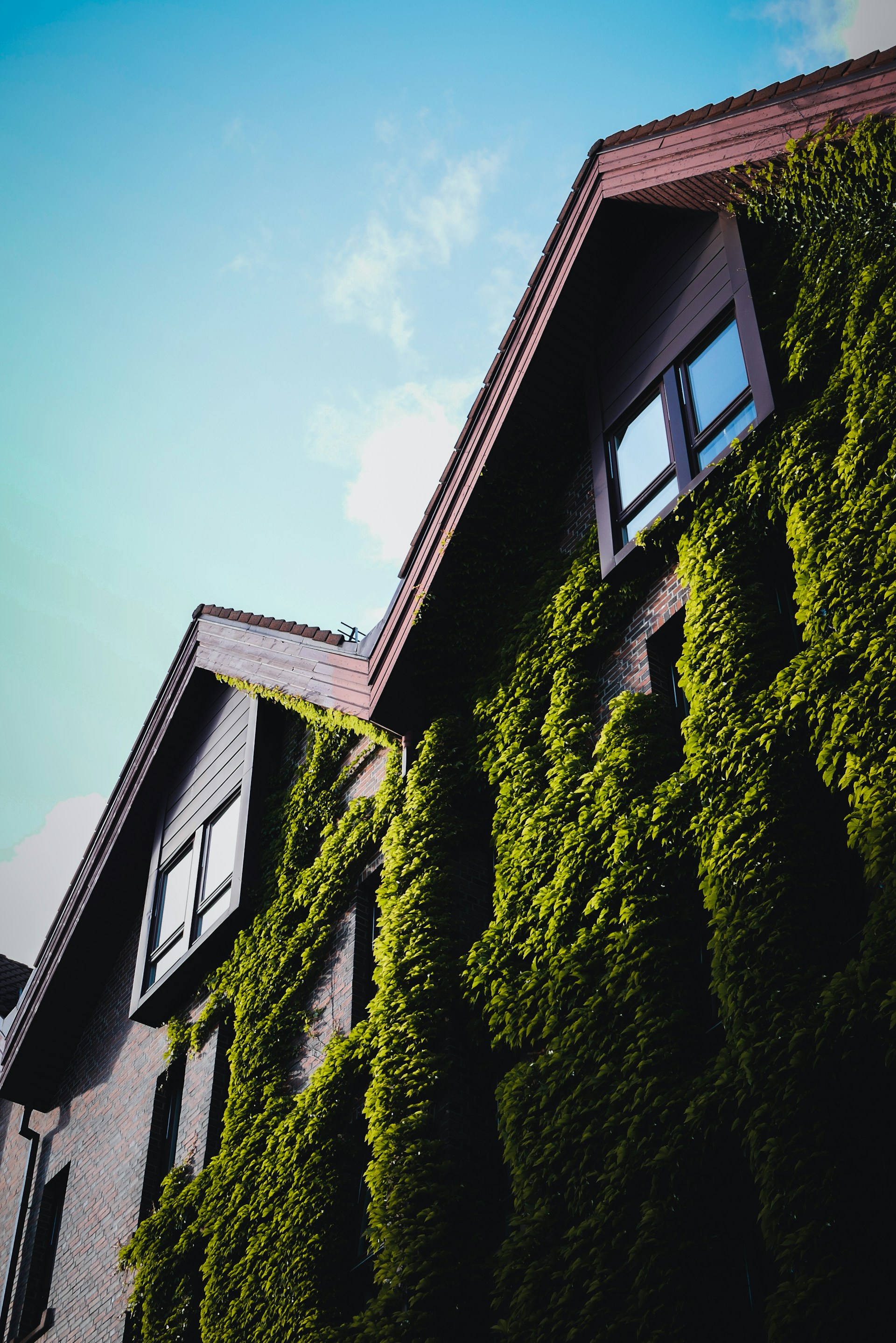 green and brown concrete house under blue sky during daytime