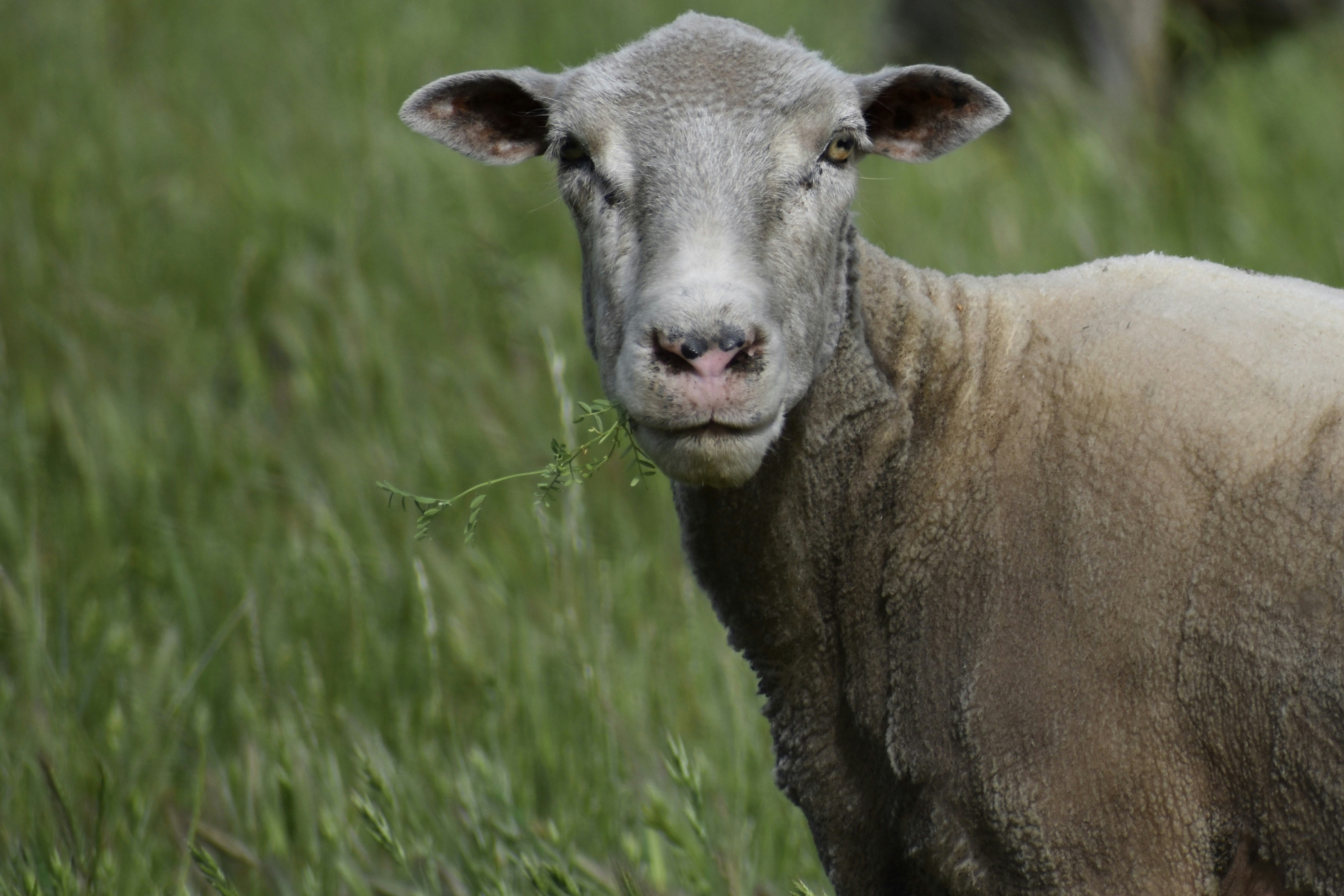 Photo by elisastonephotography