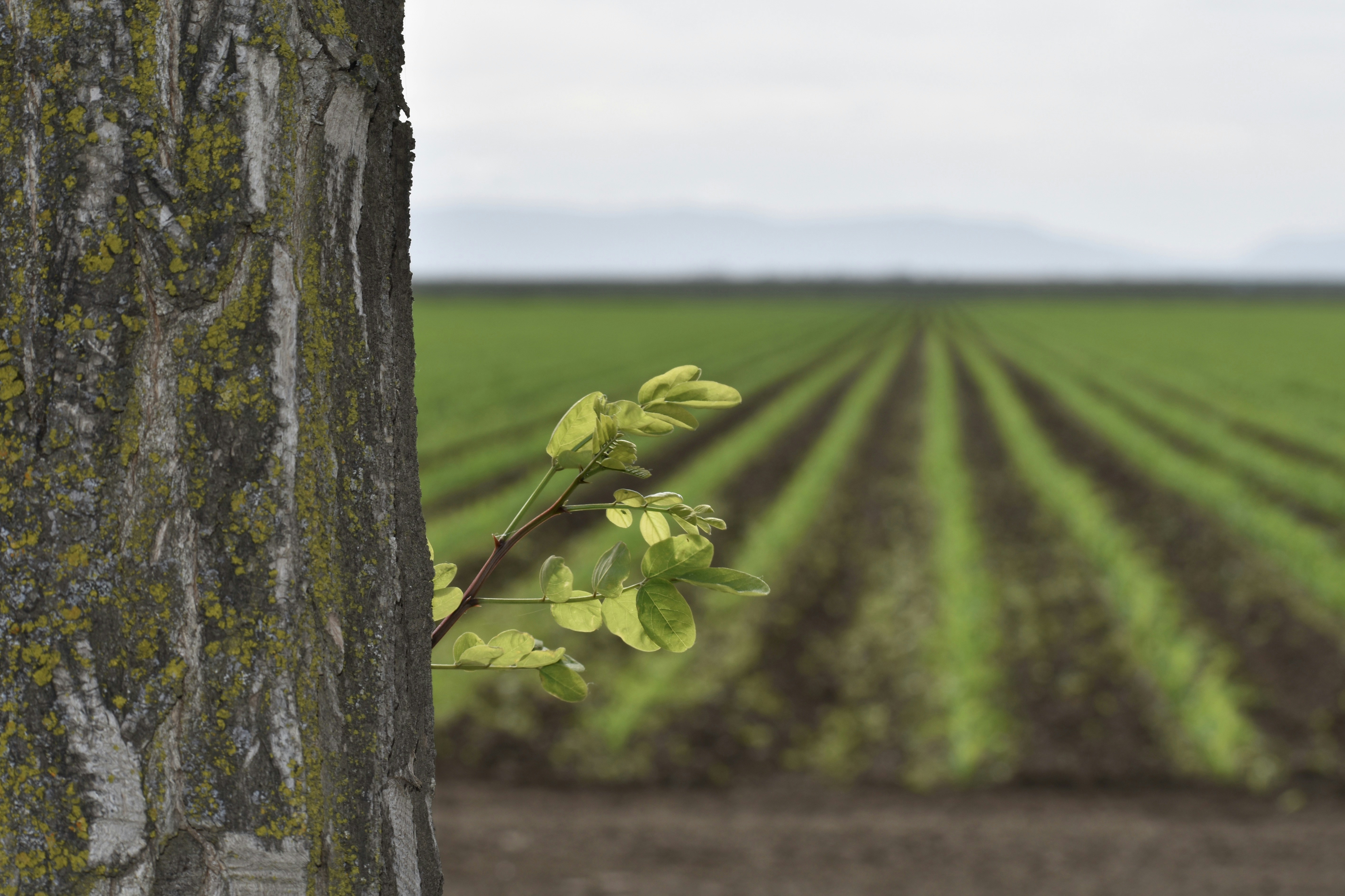 Photo by elisastonephotography