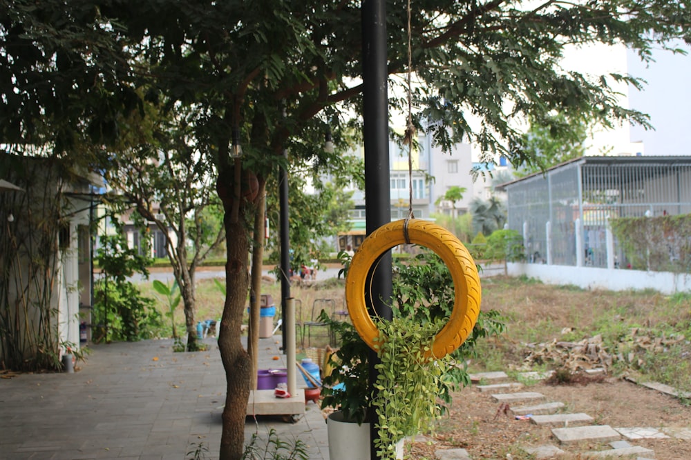 a yellow ring hanging from a pole next to a tree