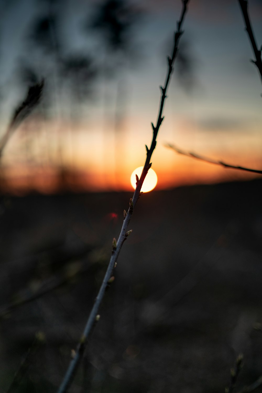 water dew on gray wire during sunset