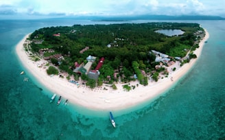 aerial view of green trees and body of water during daytime