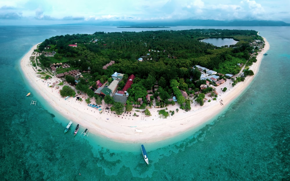 aerial view of green trees and body of water during daytime