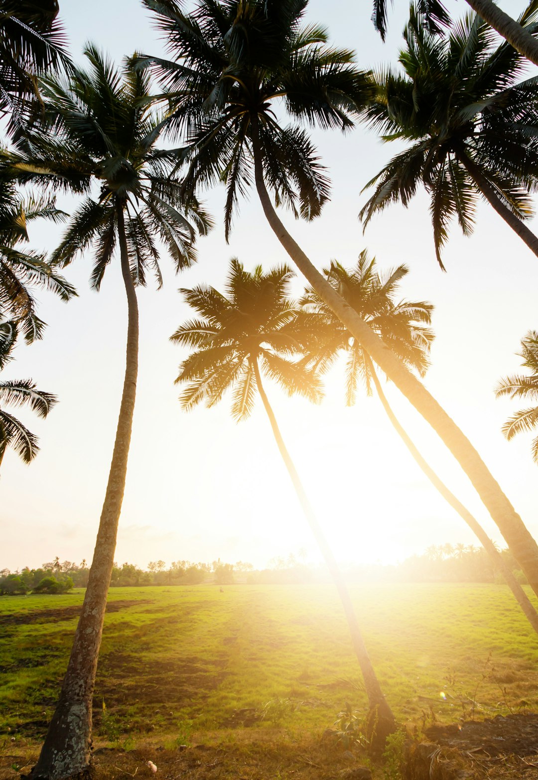 Tropics photo spot Goa Gokarn