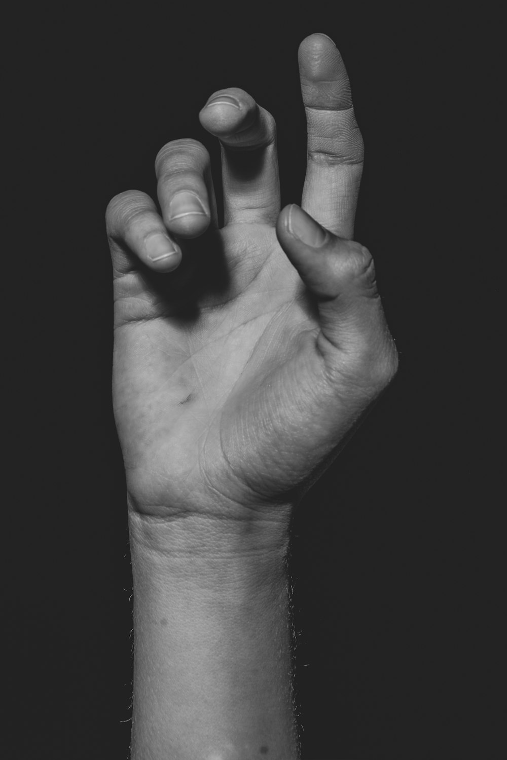 grayscale photo of persons hand