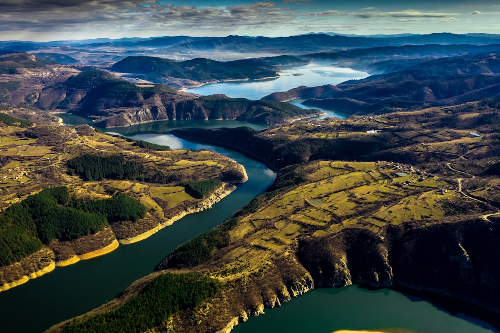 aerial view of green trees and river