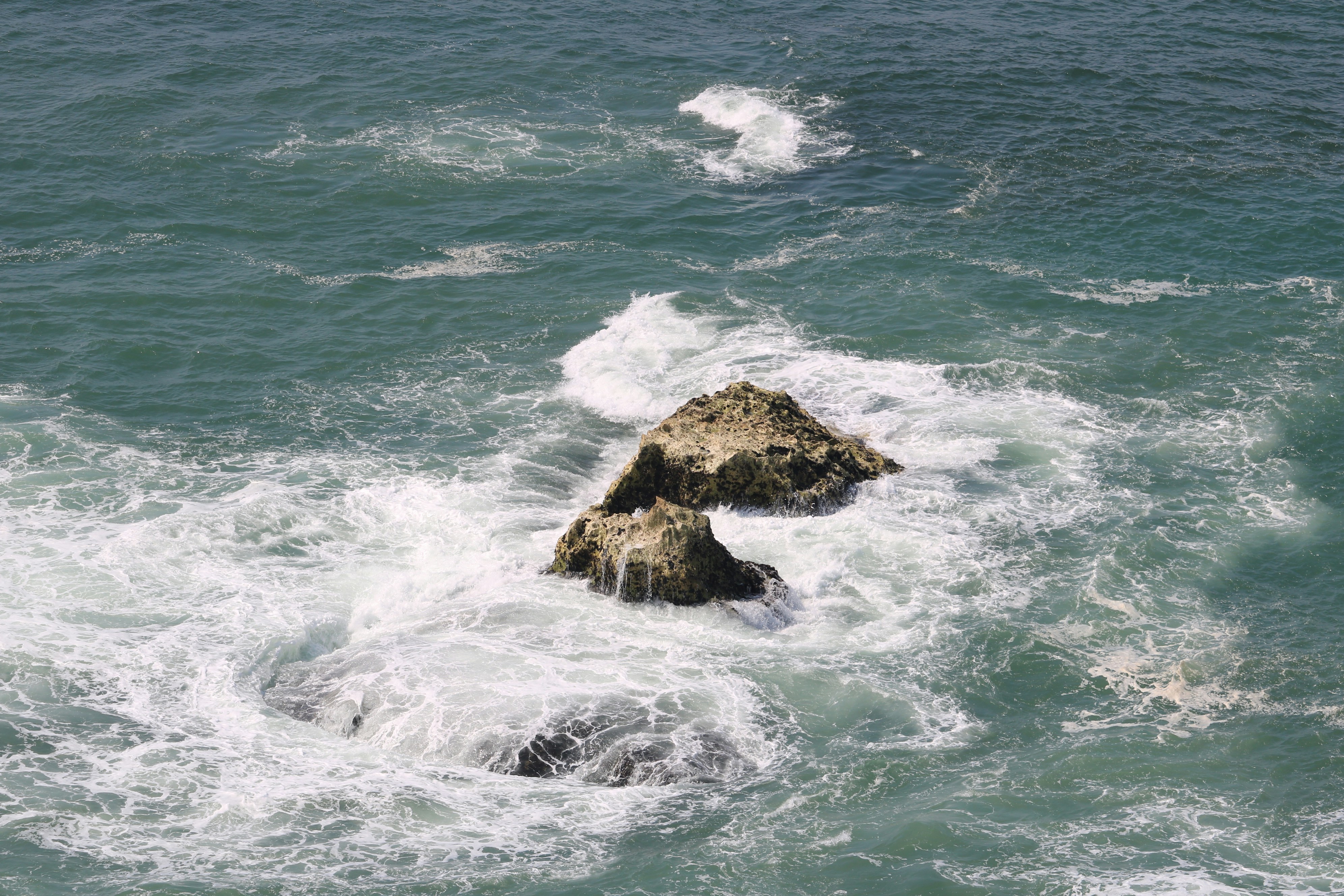 Photo by irinamarie__