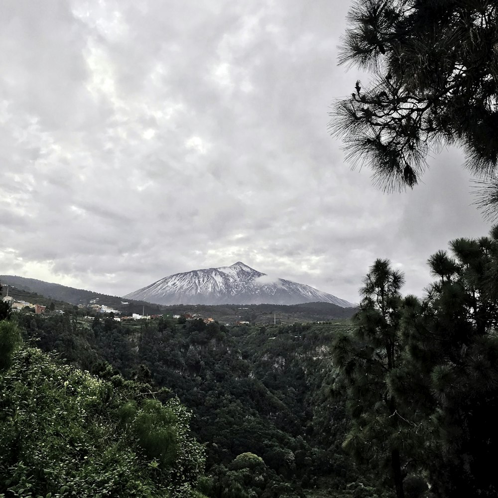 green trees near mountain under white clouds during daytime