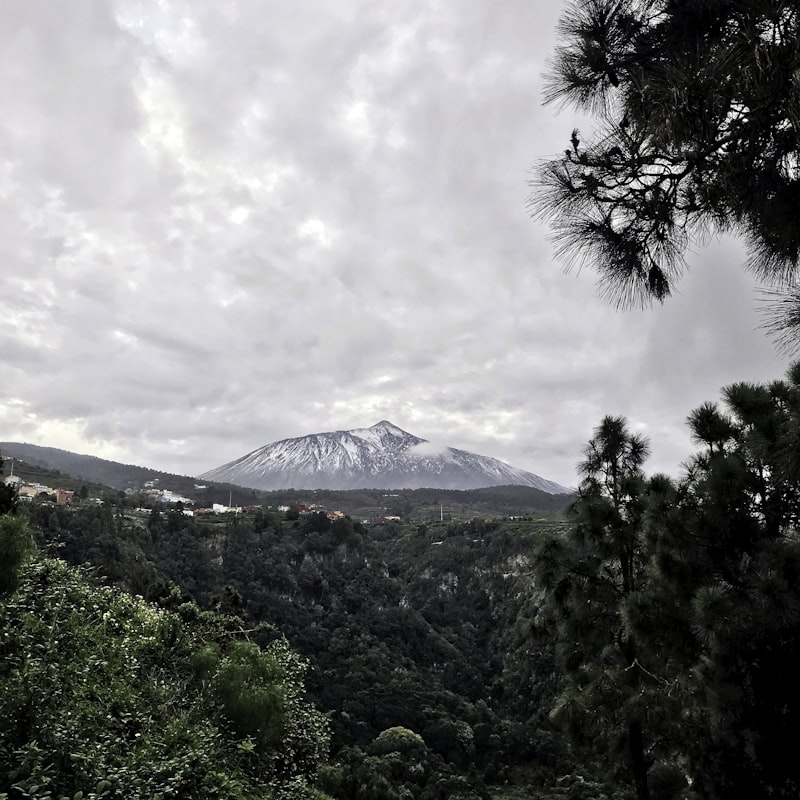 árboles verdes cerca de la montaña bajo nubes blancas durante el día