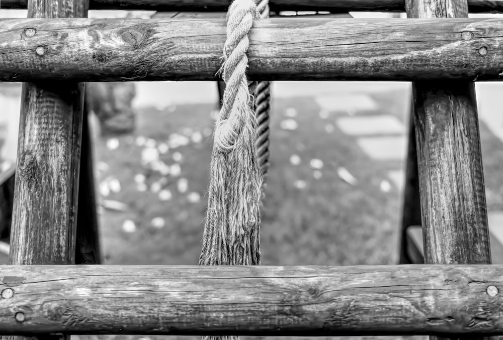 rope on wooden fence in grayscale photography