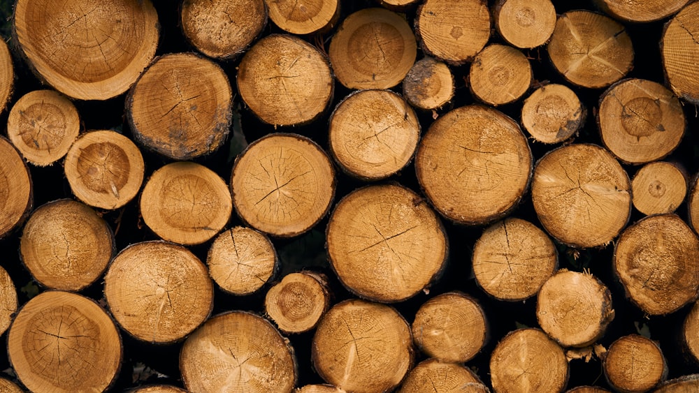 pile of brown wood logs