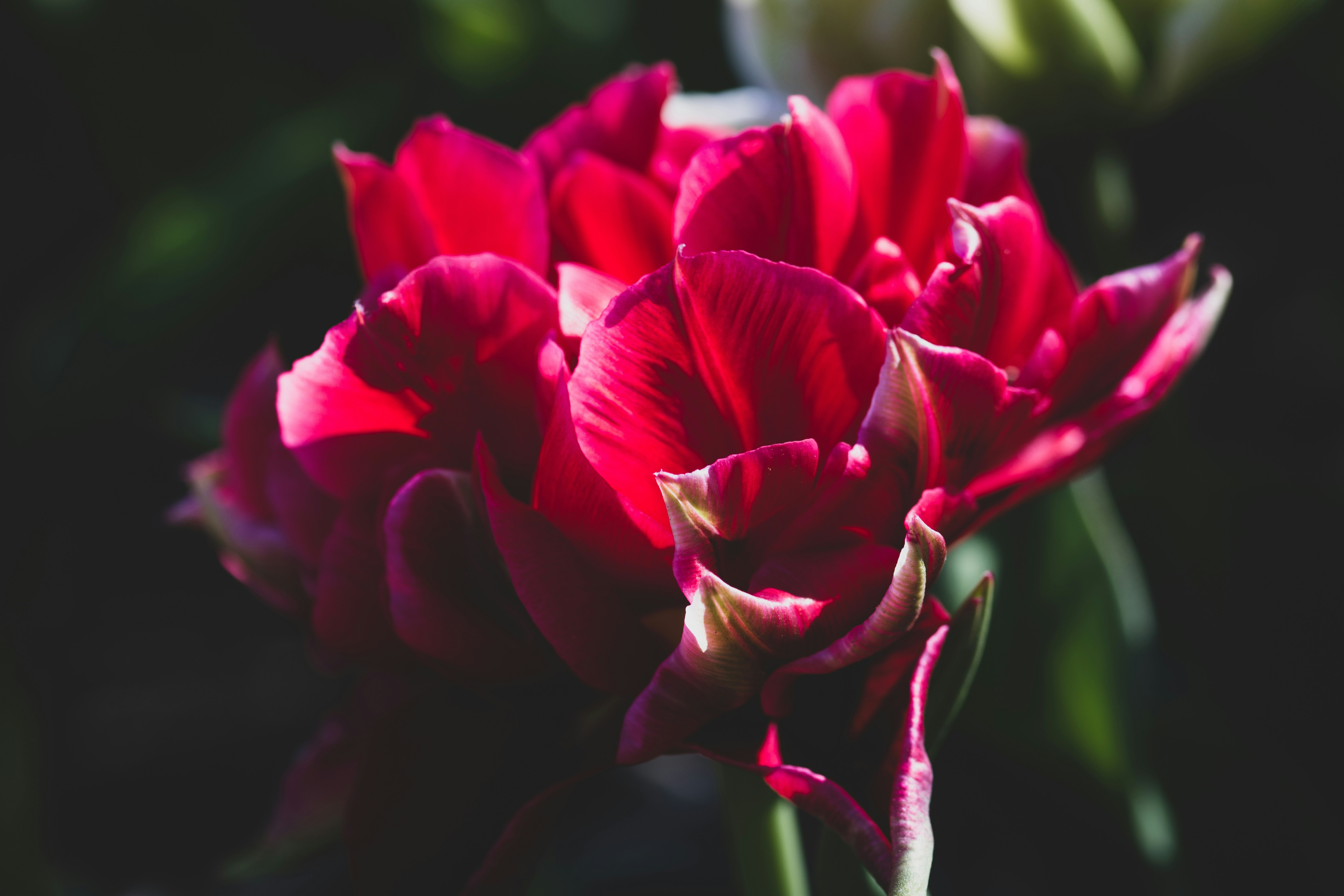 Photo by neural_notworks