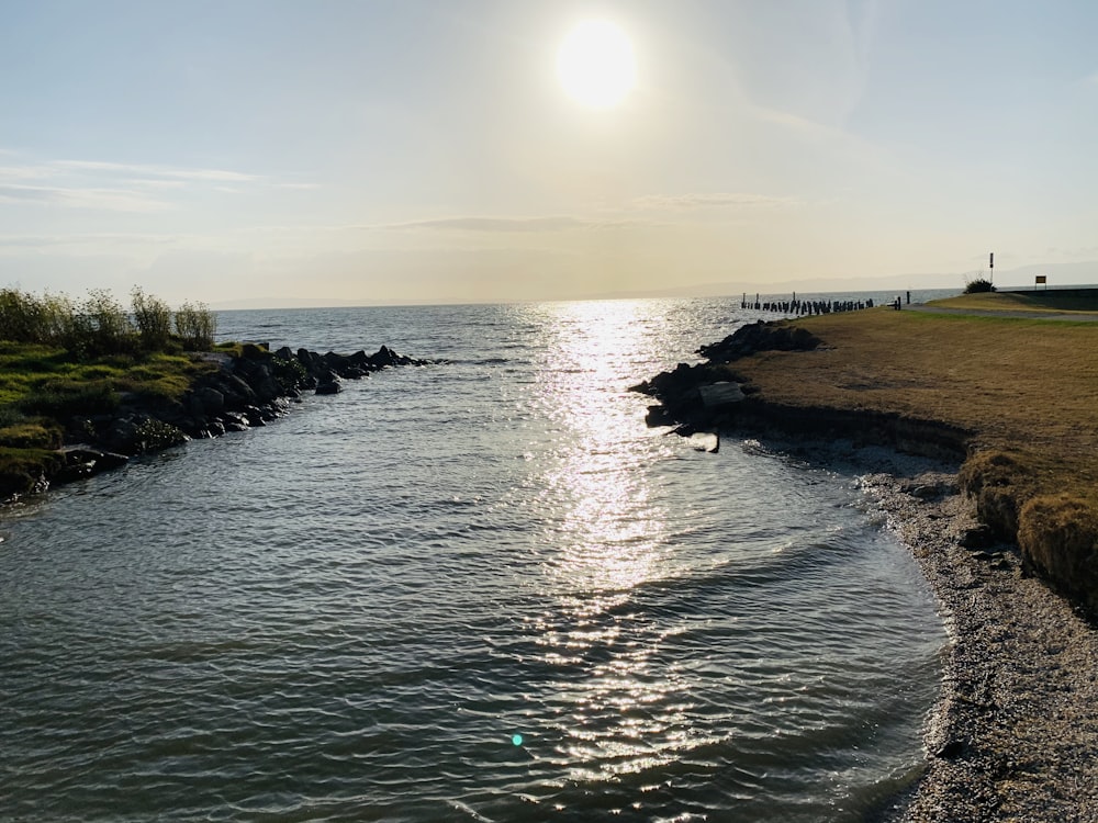 body of water near green grass field during daytime