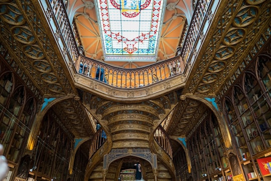 low angle photography of brown concrete building in Jardins do Palácio de Cristal Portugal