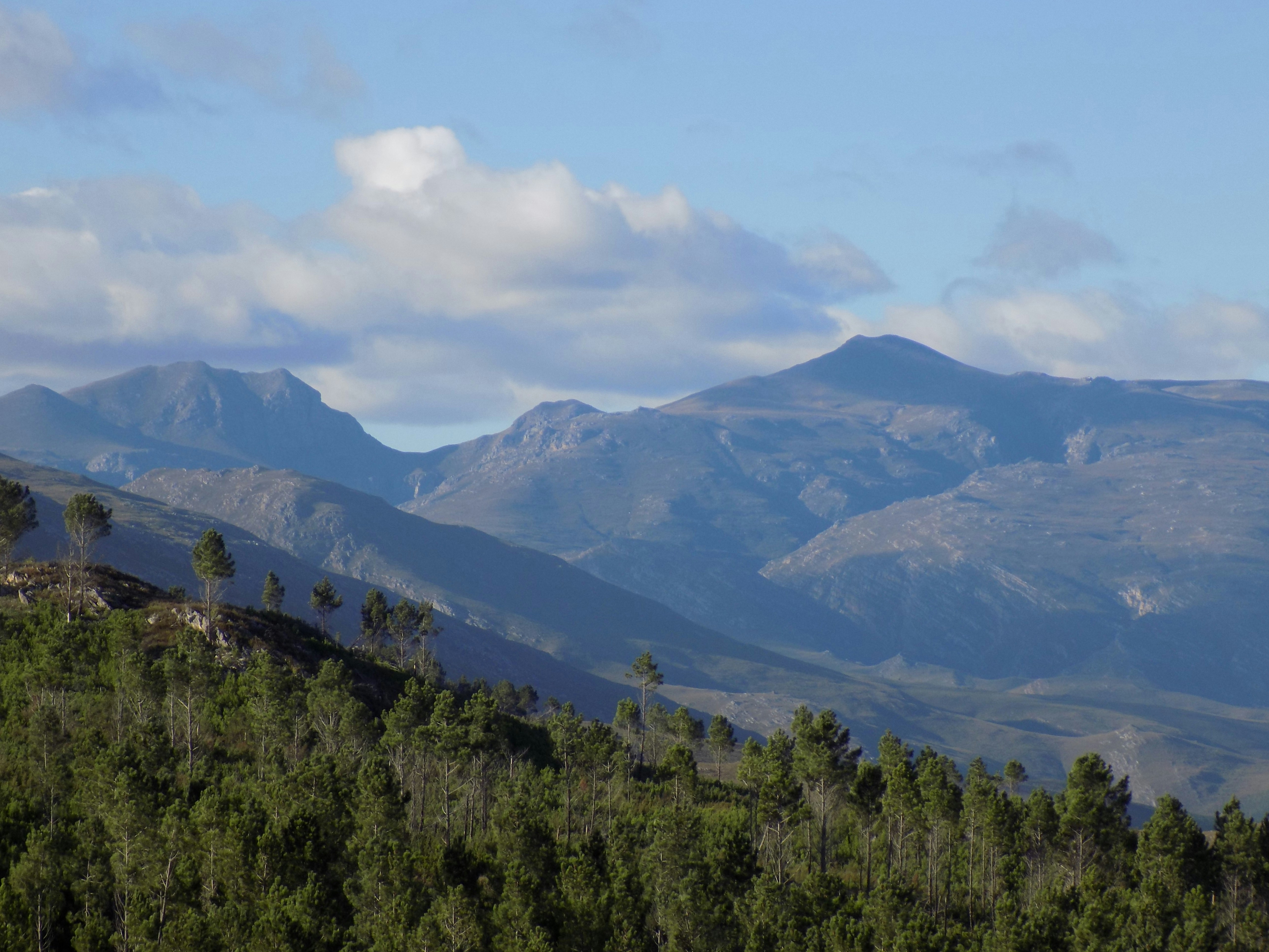 Photo by kobusvanzyl