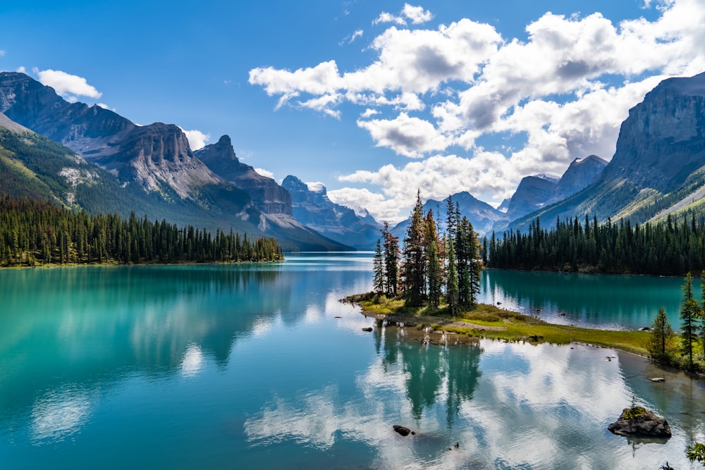 arbres verts près du lac et des montagnes sous le ciel bleu pendant la journée