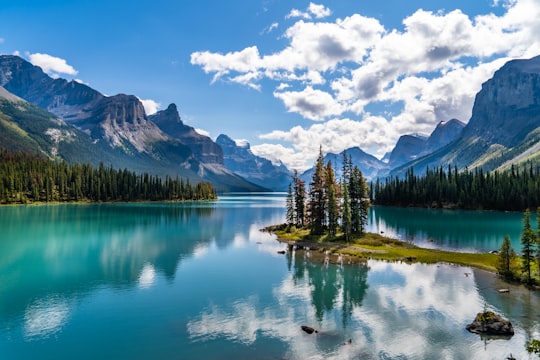 green trees near lake and mountains under blue sky during daytime in Maligne Lake Canada