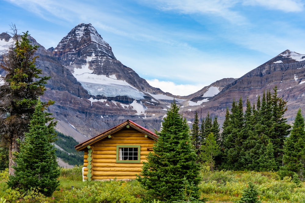 brown wooden house near green trees and mountain during daytime