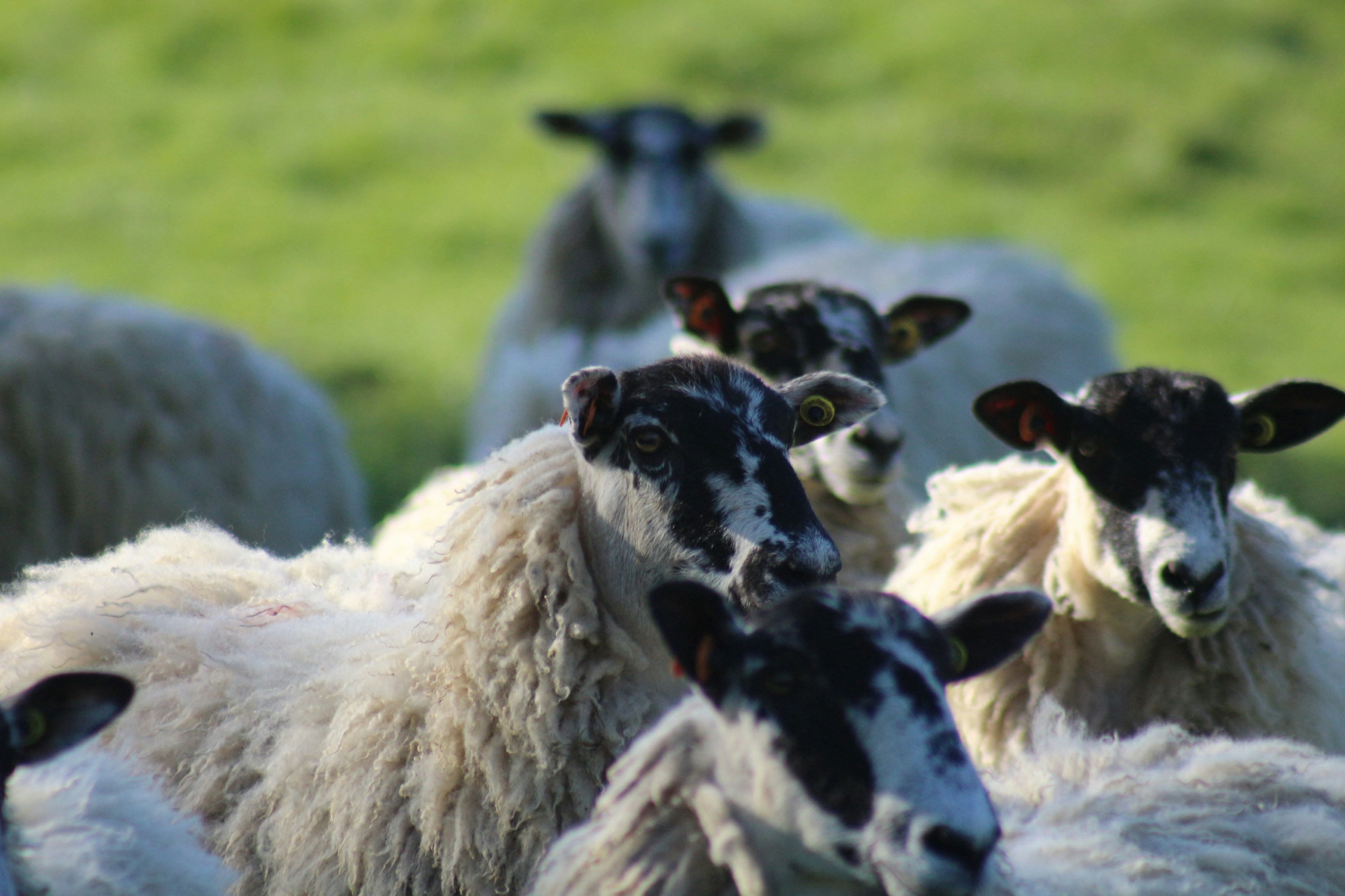 Photo by lidia_nikole