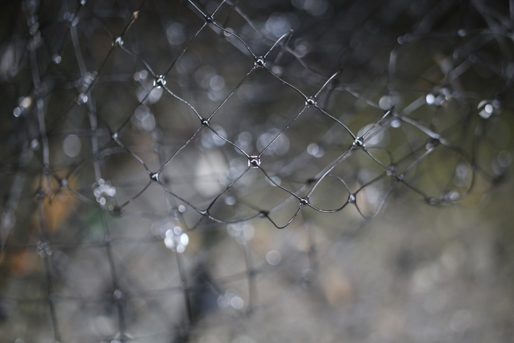 gouttelettes d’eau sur une clôture en métal gris pendant la journée