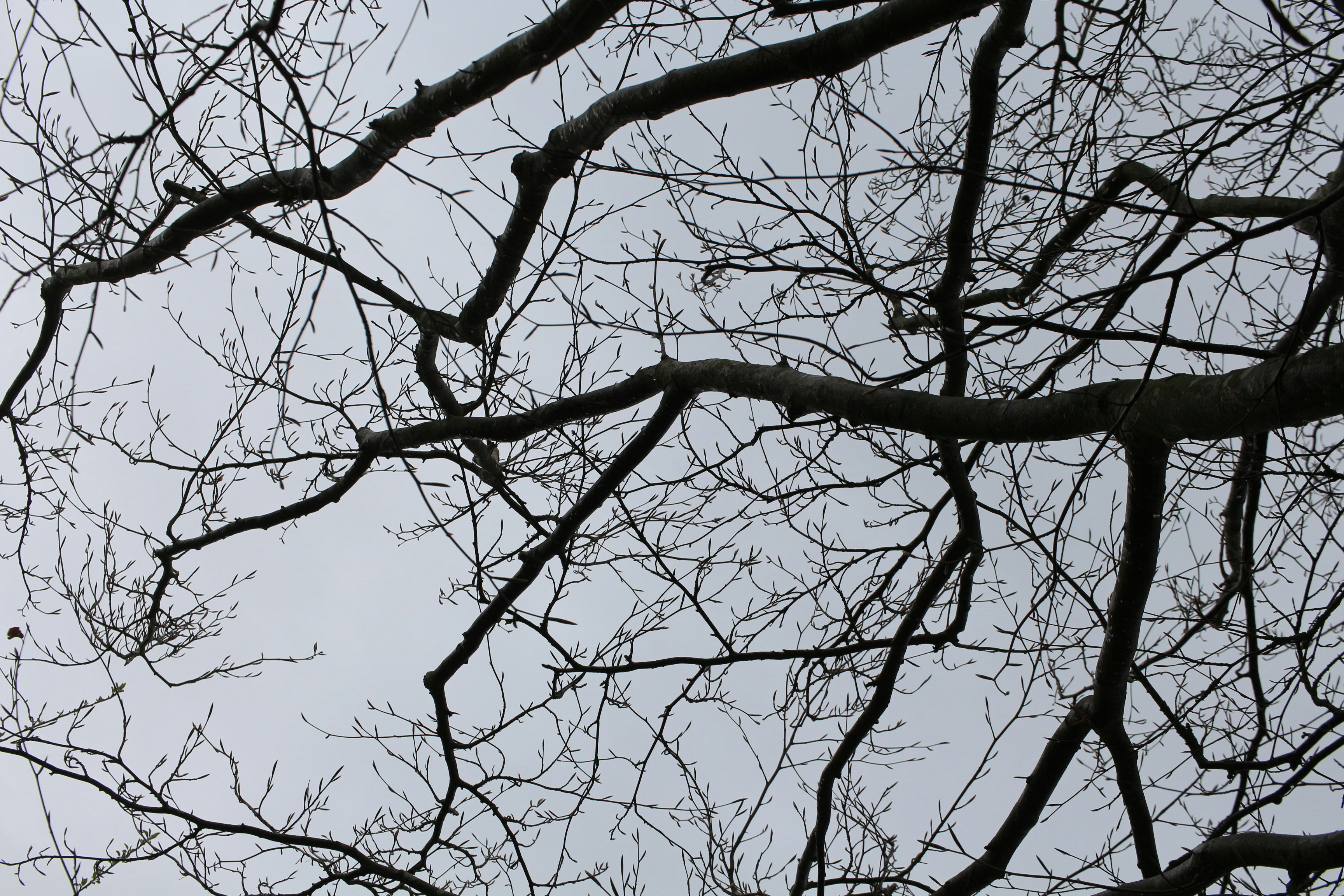 Photo by lidia_nikole